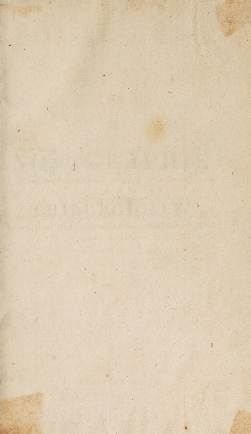 j •V ) ■ . .■ I . n ( / . ' ' Z 'S * >■/