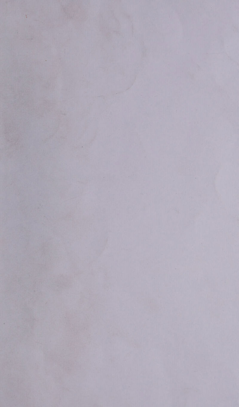 be Teg ¥, q. ‘ =a 4 :