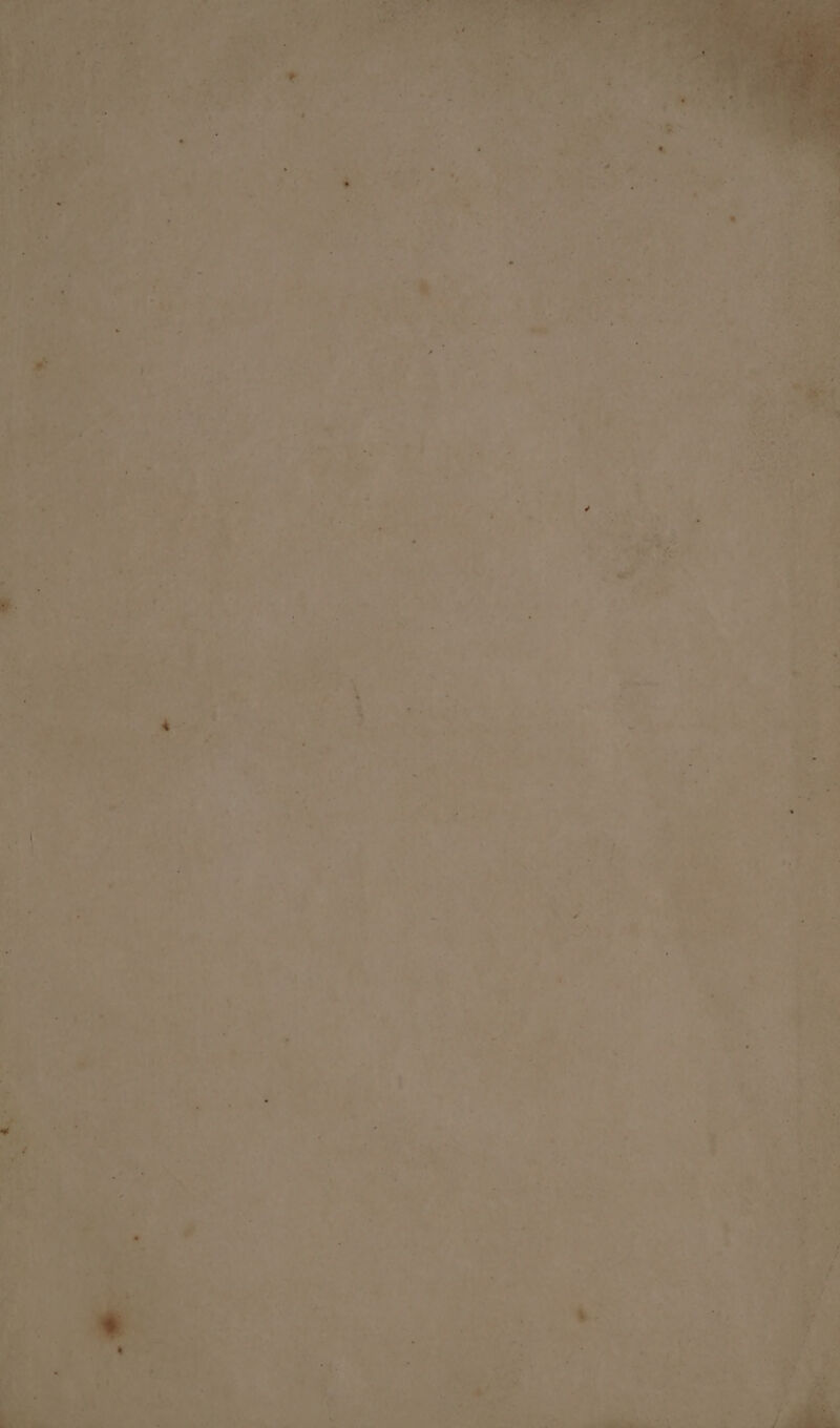 E. he bs hat. J wet b nat *