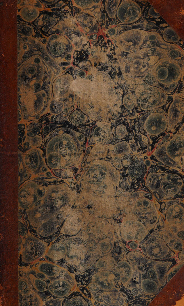 No text description is available for this image