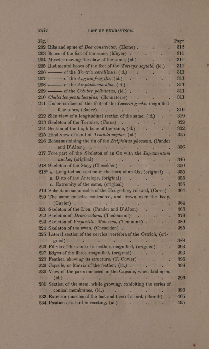 Fig. Page 202 Ribs and spine of Boa constrictor, (Home) . : « 3812 203 Bones of the foot of the same, (Mayer) . ; ; 311 204 Muscles moving the claw of the same, (id.) J en) 8 205 Rudimental bones of the foot of the Tortryx scytale, (id.) 311 . 206 of the Tortrix corallinus, (id.) d : Ba a 6 207 of the Anguis fragilis, (id.) . : : 311 208 of the Amphisbena alba, (id.) : : Mey 4 209 of the Coluber pollutatus, (id.) . : . dll 210 Chalcides pentadactylus, (Bonnaterre) A 311 211 Under surface of the foot of the Lacerta Abe mopHided: four times, (Bauer) 5 ile SLD 212 Side view of a longitudinal section of the same, (id. ) ue isapse 20, 213 Skeleton of the Tortoise, (Carus) . : - 822 214 Section of the thigh bone of the same, (id. vid : a 322 215 Hind view of skull of Testudo mydas, (id.) : 325 216 Bones sustaining the fin of the Delphinus phocena, (Pander and D’Alton) . 336 217 Fore part of the Skeleton of an Ox with the Bis ibionite nuche, (original) ; ‘ 3 ‘ . 346 218 Skeleton of the Stag, (Cheselden) — . 350 218* a. Longitudinal section of the horn of an Ox, (orlbinds . 300 B. Ditto of the Antelope, (original) . ‘ : 300 c. Extremity of the same, (original) ‘ : . 3855 219 Subcutaneous muscles of the Hedge-hog, relaxed, (Carus) 364 220 The same muscles contracted, and drawn over the body, (Cuvier) . ; ‘ . 364 221 Skeleton of the Lion, anaes and D’Alton) : , 365 222 Skeleton of Draco volans, (Tiedemann) . ; . | 379 223 Skeleton of Vespertilio Molossus, (‘Temmink) . : 380 224 Skeleton of the swan, (Cheselden) . ‘ . 385 225 Lateral section of the cervical vertebra of the ueiel: (ori- ginal) . : 388 226 Fibrils of the vane of a feather, tarsi toga} . 393 227 Edges of the fibres, magnified, (original) i ‘ 393 228 Feather, showing its structure, (F. Cuvier) . 396 229 Capsule, or Matrix of the feather, (id.) . “ 396 230 View of the parts enclosed in the spars when laid open, Cid yr ; 396 231 Section of the stem, while erowing, hibits the series of - conical membranes, (id.) : ! 396 233 Extensor muscles of the foot and toes of a bird, (Borelli) . 405 234 Position of a bird in roosting, (id.) ‘ ; , 405
