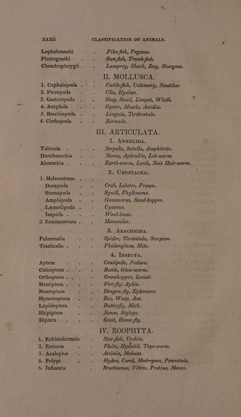 Lophobranchi - . Pitke-fish, Pegasus. Plectognathi . . Sun-fish, Trunk-fish. Chondropterygii. . Lamprey, Shark, Ray, Sturgeon. I]. MOLLUSCA. 1. Cephalopoda. . Cuttle-fish, Calamary, Nautilus. 2. Pteropoda , ‘ Clio, Hyalza. 3. Gasteropoda . . Slug, Snail, Limpet, Whelk. 4, Acephala ; , Oyster, Muscle, Ascidia. 5. Brachiopoda . A Lingula, Terebratula. 6.Cirrhopoda : Barnacle. Ill. ARTICULATA. 1, ANNELIDA. Tubicola . : A Serpula, Sabella, Amphitrite. Dorsibranchia_ . : Nereis, Aphrodite, Lob-worm. Abranchia . , ‘ Earth-worm, Leech, Nais Hair-worm. 2. CRusracEa. 1. Malacostraca . . Decapoda A : Crab, Lobster, Prawn. Stomapoda . - Squill, Phyllosoma. Amphipoda_ . : Gammarus, Sand-happer. _ Lemodipoda . ‘ Cyamus. Isopoda . ; : Wood-louse. 2. Entomostraca . bs Monoculus. 3. ARACHNIDA. Pulmonalia : , Spider, Tarantula, Scorpion. Trachealia . 5 : Phalangium, Mite. 4, InsEcTA. Aptera ah Sl : Centipede, Podura. Coleoptera . f : Beetle, Glow-worm. Orthoptera. , . : Grasshopper, Locust. Hemiptera . ; , Fire-fiy, Aphis. Neuroptera ¢ ; Dragon-fly, Ephemera. Hymenoptera. : Bee, Wasp, Ant. Lepidoptera . . Butterfly, Moth. Rhipiptera . . . Xenos, Stylops. Diptera. ‘ ; Gnat, House-fly. IV. ZOOPHYTA. 1. Echinodermata . Star-fish, Urchin. 2. Entozoa ; ‘ Fluke, Hydatid, Tape-worm. 3. Acalephe . j Actinia, Medusa. 4, Polypi ‘ : Hydra, Coral, Madrepore, Pennatula. 5. Infusoria , : Brachionus, Vibrio, Proteus, Monas.