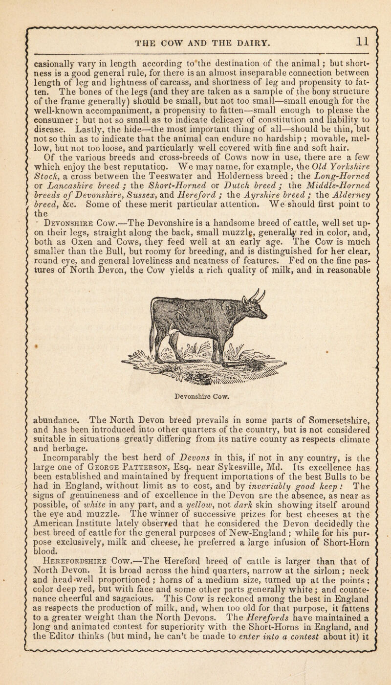 casionally vary in length according to the destination of the animal; but short¬ ness is a good general rule, for there is an almost inseparable connection between length of leg and lightness of carcass, and shortness of leg and propensity to fat¬ ten. The bones of the legs (and they are taken as a sample of the bony structure of the frame generally) should be small, but not too small—small enough for the well-known accompaniment, a propensity to fatten—small enough to please the consumer ; but not so small as to indicate delicacy of constitution and liability to disease. Lastly, the hide—the most important thing of all—should be thin, but not so thin as to indicate that the animal can endure no hardship ; movable, mel¬ low, but not too loose, and particularly well covered with fine and soft hair. Of the various breeds and cross-breeds of Cows now in use, there are a few which enjoy the best reputation. We may name, for example, the Old Yorkshire Stock, a cross between the Teeswater and Holderness breed ; the Long-Horned or Lancashire treed ; the Short-Horned or Dutch breed ; the Middle-Horned breeds of Devonshire, Sussex, and Hereford ; the Ayrshire breed ; the Alderney breed, &c. Some of these merit particular attention. We should first point to the Devonshire Cow.—The Devonshire is a handsome breed of cattle, well set up¬ on their legs, straight along the back, small muzzlg, generally red in color, and, both as Oxen and Cows, they feed well at an early age. The Cow is much smaller than the Bull, but roomy for breeding, and is distinguished for her clear, round eye, and general loveliness and neatness of features. Fed on the fine pas¬ tures of North Devon, the Cow yields a rich quality of milk, and in reasonable Devonshire Cow. abundance. The North Devon breed prevails in some parts of Somersetshire, and has been introduced into other quarters of the country, but is not considered suitable in situations greatly differing from its native county as respects climate and herbage. Incomparably the best herd of Devons in this, if not in any country, is the large one of George Patterson, Esq. near Sykesville, Md. Its excellence has been established and maintained by frequent importations of the best Bulls to be had in England, without limit as to cost, and by invariably good keep ! The signs of genuineness and of excellence in the Devon are the absence, as near as possible, of white in any part, and a yellow, not dark skin showing itself around the eye and muzzle. The winner of successive prizes for best cheeses at the American Institute lately observed that he considered the Devon decidedly the best breed of cattle for the general purposes of New-England ; while for his pur¬ pose exclusively, milk and cheese, he preferred a large infusion of Short-Horn blood. Herefordshire Cow.—The Hereford breed of cattle is larger than that of North Devon. It is broad across the hind quarters, narrow at the sirloin ; neck and head well proportioned; horns of a medium size, turned up at the points; color deep red, but with face and some other parts generally white; and counte¬ nance cheerful and sagacious. This Cow is reckoned among the best in England as respects the production of milk, and, when too old for that purpose, it fattens to a greater weight than the North Devons. The Herefords have maintained a long and animated contest for superiority with the Short-Horns in England, and the Editor thinks (but mind, he can’t be made to enter into a contest about it) it