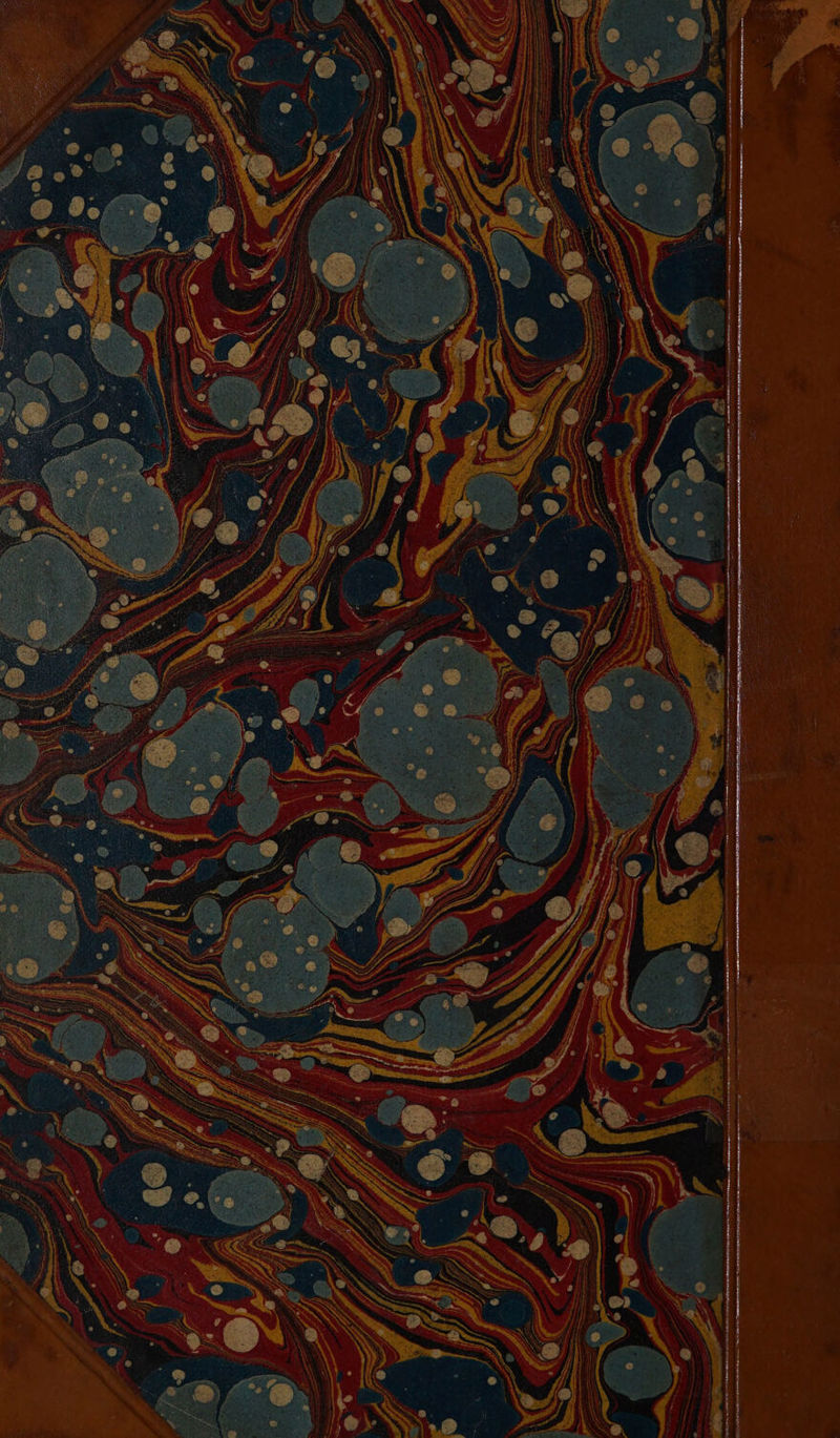 No text description is available for this image