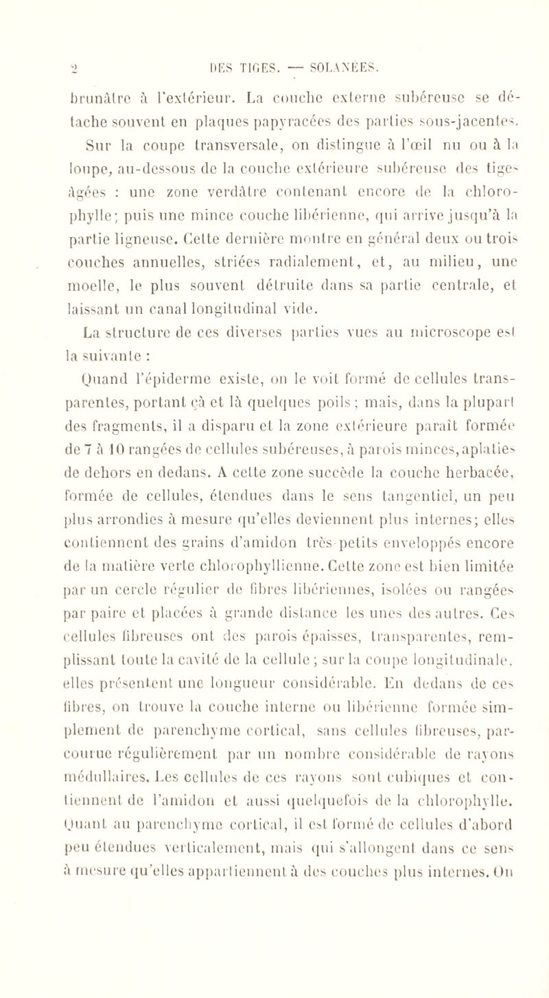 brunâtre â l’extérieur. La couche externe subéreuse se dé¬ tache souvent en plaques papyracées des parties sous-jacentes. Sur la coupe transversale, on distingue à l’œil nu ou à la loupe, au-dessous de la couche extérieure subéreuse des tige- âgées : une zone verdâtre contenant encore de la chloro¬ phylle; puis une mince couche libérienne, qui arrive jusqu’à la partie ligneuse. Celte dernière montre en général deux ou troi- couches annuelles, striées radialement, et, au milieu, une moelle, le plus souvent détruite dans sa partie centrale, et laissant un canal longitudinal vide. La structure de ces diverses parties vues au microscope e*l la suivante : Quand l’épiderme existe, on le voit formé de cellules trans¬ parentes, portant cà et là quelques poils ; mais, dans la plupart des fragments, il a disparu et la zone extérieure paraît formée de 7 à 10 rangées de cellules subéreuses, à parois minces,aplatie* de dehors en dedans. A cette zone succède la couche herbacée, formée de cellules, étendues dans le sens tangentiel, un peu plus arrondies à mesure qu’elles deviennent plus internes; elles contiennent des grains d’amidon très petits enveloppés encore de la matière verte chlorophyllienne. Cette zone est bien limitée par un cercle régulier de fibres libériennes, isolées ou rangées par paire et placées à grande distance les unes des autres. Ce* cellules fibreuses ont des parois épaisses, transparentes, rem¬ plissant toute la cavité de la cellule; sur la coupe longitudinale, elles présentent une longueur considérable. En dedans de ce* fibres, on trouve la couche interne ou libérienne formée sim¬ plement de parenchyme cortical, sans cellules fibreuses, par¬ courue régulièrement par un nombre considérable de rayons médullaires. 1.es cellules de ccs rayons sont cubiques et con¬ tiennent de l’amidon et aussi quelquefois de la chlorophylle. Quant au parenchyme cortical, il est formé de cellules d’abord peu étendues verticalement, mais qui s'allongent dans ce sens à mesure qu’elles appartiennent à des couches plus internes. On