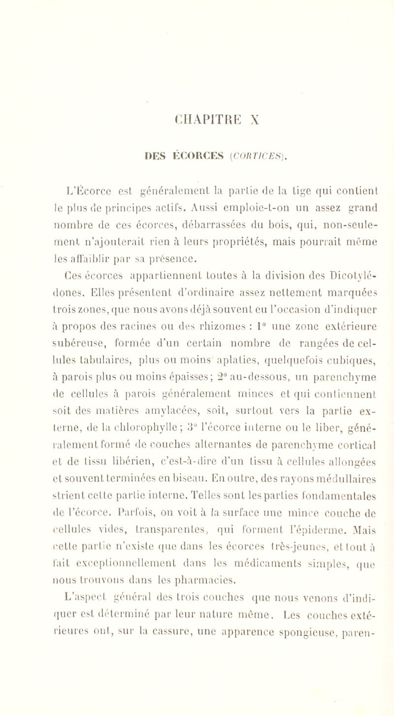 CHAPITRE X DES ÉCORCES [CORTICES). L’Écorce est généralement la partie de la tige qui contient le plus cîe principes actifs. Aussi emploie-t-on un assez grand nombre de ces écorces, débarrassées du bois, qui, non-seule¬ ment n’ajouterait rien à leurs propriétés, mais pourrait même les affaiblir par sa présence. Ces écorces appartiennent toutes à la division des Dicotylé¬ dones. Elles présentent d’ordinaire assez nettement marquées trois zones, que nous avons déjà souvent eu l’occasion d’indiquer à propos des racines ou des rhizomes : 1° une zone extérieure subéreuse, formée d’un certain nombre de rangées de cel¬ lules tabulaires, plus ou moins aplaties, quelquefois cubiques, à parois plus ou moins épaisses; 2° au-dessous, un parenchyme de cellules à parois généralement minces et qui contiennent soit des matières amylacées, soit, surtout vers la partie ex¬ terne, de la chlorophylle; 3° l’écorce interne ou le liber, géné¬ ralement formé de couches alternantes de parenchyme cortical et de tissu libérien, c’est-à-dire d’un tissu à cellules allongées et souvent terminées en biseau. En outre, des rayons médullaires strient cette partie interne. Telles sont les parties fondamentales de l’écorce. Parfois, on voit à la surface une mince couche de cellules vides, transparentes, qui forment l’épiderme. Mais cette partie n’existe que dans les écorces très-jeunes, et tout à fait exceptionnellement dans les médicaments simples, (pie nous trouvons dans les pharmacies. L’aspect général des trois couches que nous venons d’indi¬ quer est déterminé par leur nature même. Les couches exté¬ rieures ont, sur la cassure, une apparence spongieuse, pareil-