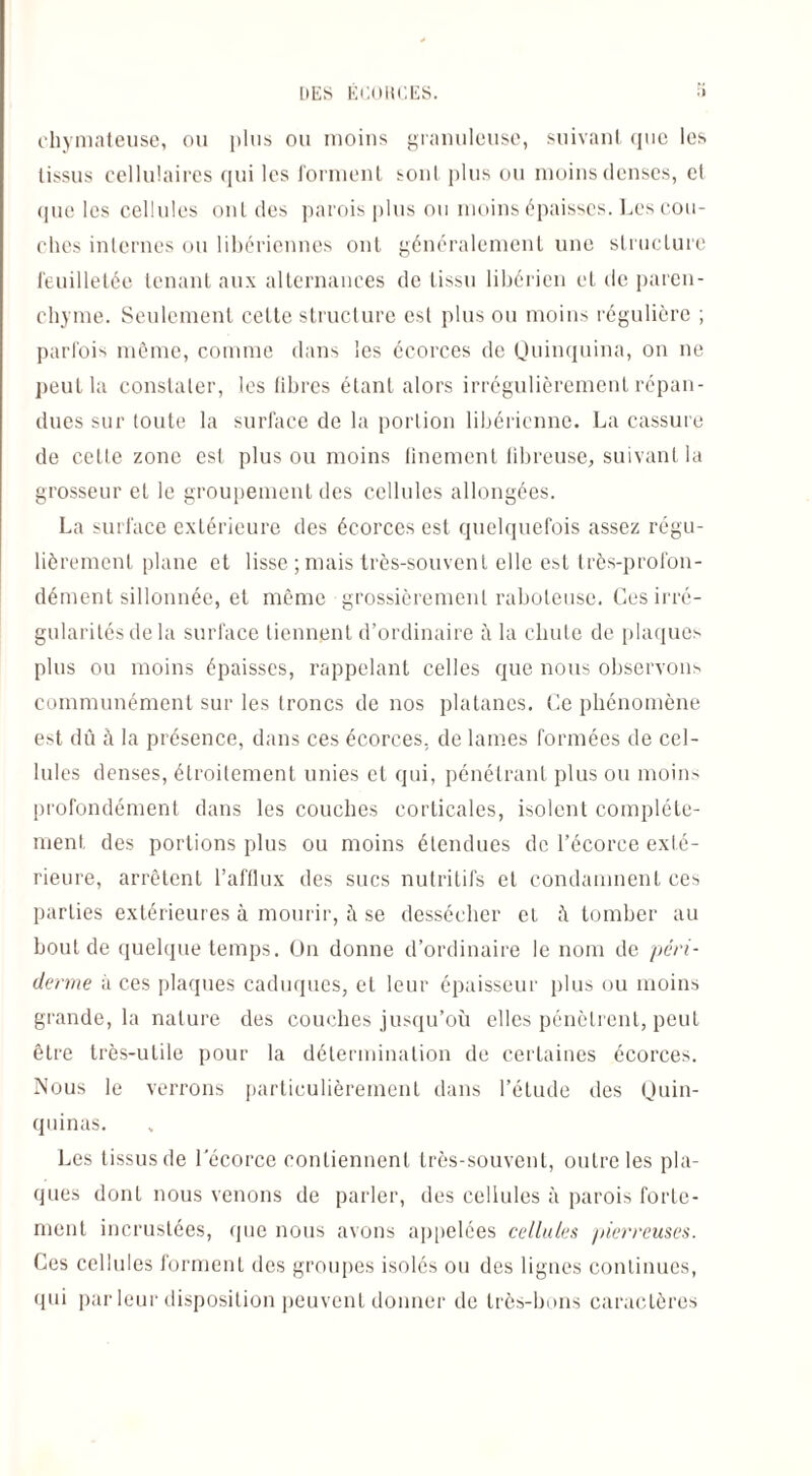 DES EUUIU’.ES. chymateuse, ou plus ou moins granuleuse, suivant que les tissus cellulaires qui les forment sont plus on moins denses, cl que les cellules ont des parois plus ou moins épaisses. Les cou¬ ches internes ou libériennes ont généralement une structure feuilletée tenant aux alternances de tissu libérien et de paren¬ chyme. Seulement celte structure est plus ou moins régulière ; parfois même, comme dans les écorces de Quinquina, on ne peut la constater, les fibres étant alors irrégulièrement répan¬ dues sur toute la surface de la portion libérienne. La cassure de cette zone est plus ou moins finement fibreuse, suivant la grosseur et le groupement des cellules allongées. La surface extérieure des écorces est quelquefois assez régu¬ lièrement plane et lisse ; mais très-souvent elle est très-profon¬ dément sillonnée, et même grossièrement raboteuse. Ces irré¬ gularités de la surface tiennent d’ordinaire à la chute de plaques plus ou moins épaisses, rappelant celles que nous observons communément sur les troncs de nos platanes. Ce phénomène est dû à la présence, dans ces écorces, de lames formées de cel¬ lules denses, étroitement unies et qui, pénétrant plus ou moins profondément dans les couches corticales, isolent complète¬ ment des portions plus ou moins étendues de l’écorce exté¬ rieure, arrêtent l’afflux des sucs nutritifs et condamnent ces parties extérieures à mourir, à se dessécher et à tomber au bout de quelque temps. On donne d’ordinaire le nom de péri- derme à ces plaques caduques, et leur épaisseur plus ou moins grande, la nature des couches jusqu’où elles pénètrent, peut être très-utile pour la détermination de certaines écorces. Nous le verrons particulièrement dans l’étude des Quin¬ quinas. Les tissus de l'écorce contiennent très-souvent, outre les pla¬ ques dont nous venons de parler, des cellules à parois forte¬ ment incrustées, que nous avons appelées cellules pierreuses. Ces cellules forment des groupes isolés ou des lignes continues, qui par leur disposition peuvent donner de très-bons caractères