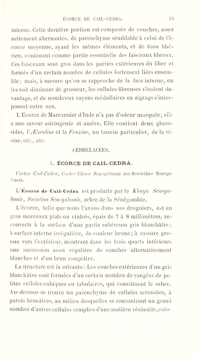 ECORCE DE CAIL-CEDRA. interne. Celle dernière portion est composée de couches, assez nettement alternantes, de parenchyme semblable à celui de l’é¬ corce moyenne, ayant les mêmes éléments, et de tissu libé¬ rien, contenant comme partie essentielle des faisceaux fibreux. Ces faisceaux sont, gros dans les parties extérieures du liber et formés d’un certain nombre de cellules fortement liées ensem¬ ble; mais, à mesure qu’on se rapproche de la face interne, on les voit diminuer de grosseur, les cellules fibreuses s’isolent da¬ vantage, et de nombreux rayons médullaires en zigzags s’inter¬ posent entre eux. L Écorce de Marronnier d’Inde n’a pas d’odeur marquée; elle a une saveur astringente et amère. Elle contient deux gluco- sides, VÆsculine et la Fraxine, un tannin particulier, île la ré¬ sine, etc., etc. CÉDRÉLACÉES. o. ÉCORCE DE CAIL-CEDRA. Cortex Cail-Cedrœ, Carter China* Senegalensis seu Sewictinœ Senega- lensis. L'flieoree «le Caïi-Cedra est produite par le Khaya Senega- lensis, Swietina Senegalensis, arbre de la Sénégambie. L’écorce, telle que nous l’avons dans nos droguiers, est en gros morceaux plats ou cintrés, épais de 7 â 8 millimètres, re¬ couverts à la surface d’une partie subéreuse gris blanchâtre ; à. surface interne irrégulière, de couleur brune; à cassure gre¬ nue vers l’extérieur, montrant dans les trois quarts intérieurs une succession assez régulière de couches alternativement blanches et d’un brun rougeâtre. La structure est la suivante : Les couches extérieures d’un gris blanchâtre sont formées d’un certain nombre de rangées de pe¬ tites cellules cubiques ou tabulaires, qui constituent le suber. Au-dessous se trouve un parenchyme de cellules arrondies, â parois brunâtres, au milieu desquelles se rencontrent un grand nombre d’autres cellules remplies d’une matière résinoïdc,colo-