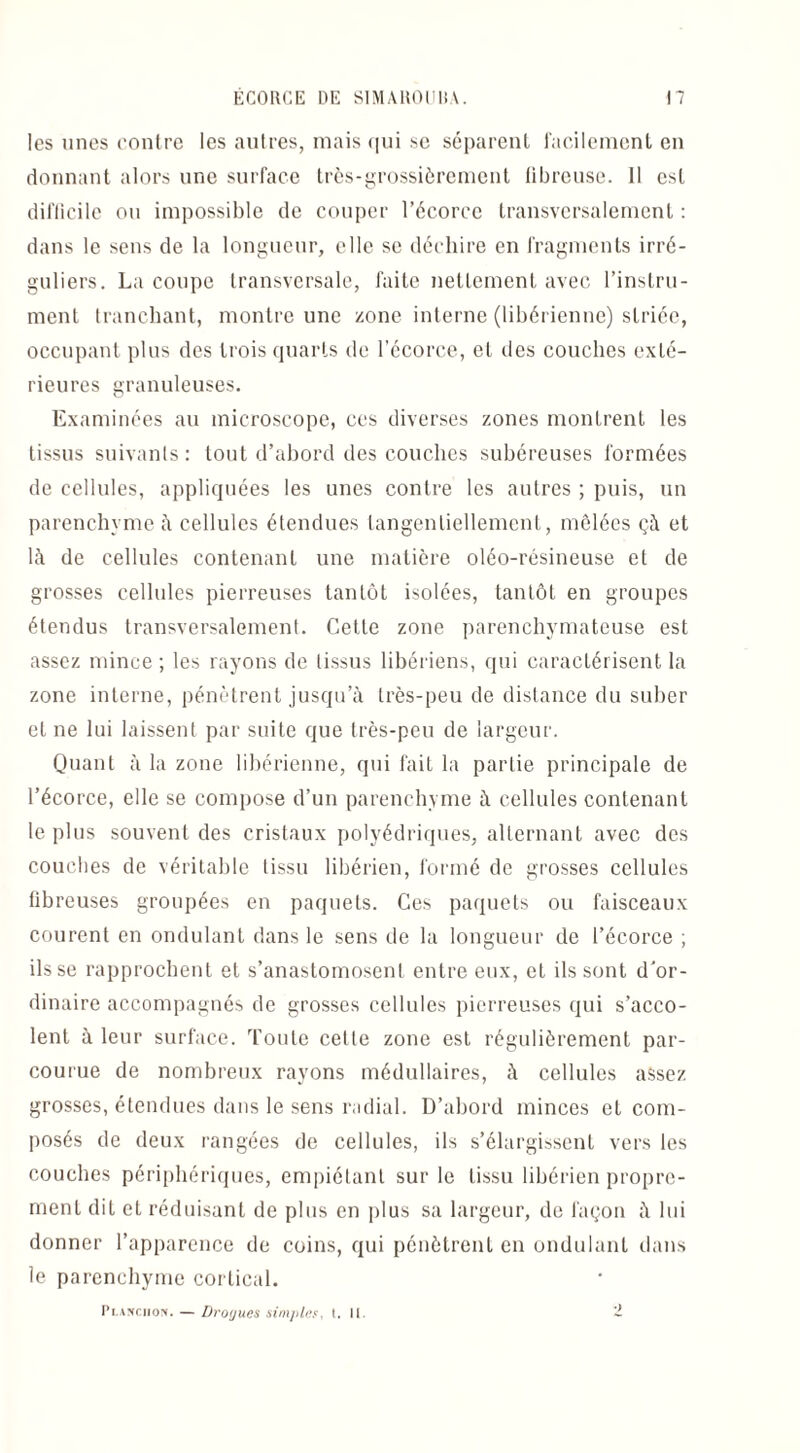 les unes contre les autres, mais qui se séparent facilement en donnant alors une surface très-grossièrement fibreuse. Il est difficile ou impossible de couper l'écorce transversalement : dans le sens de la longueur, elle se déchire en fragments irré¬ guliers. La coupe transversale, faite nettement avec l’instru¬ ment tranchant, montre une zone interne (libérienne) striée, occupant plus des trois quarts de l’écorce, et des couches exté¬ rieures granuleuses. Examinées au microscope, ces diverses zones monLrent les tissus suivants: tout d’abord des couches subéreuses formées de cellules, appliquées les unes contre les autres ; puis, un parenchyme à cellules étendues tangenliellement, mêlées çà et là de cellules contenant une matière oléo-résineuse et de grosses cellules pierreuses tantôt isolées, tantôt en groupes étendus transversalement. Cette zone parenchymateuse est assez mince ; les rayons de tissus libériens, qui caractérisent la zone interne, pénètrent jusqu’à très-peu de distance du suber et ne lui laissent par suite que très-peu de largeur. Quant à la zone libérienne, qui fait la partie principale de l’écorce, elle se compose d’un parenchyme à cellules contenant le plus souvent des cristaux polyédriques, alternant avec des couches de véritable tissu libérien, formé de grosses cellules libreuses groupées en paquets. Ces paquets ou faisceaux courent en ondulant dans le sens de la longueur de l’écorce ; ils se rapprochent et s’anastomosent entre eux, et ils sont d'or¬ dinaire accompagnés de grosses cellules pierreuses qui s’acco¬ lent à leur surface. Toute celle zone est régulièrement par¬ courue de nombreux rayons médullaires, à cellules assez grosses, étendues dans le sens radial. D’abord minces et com¬ posés de deux rangées de cellules, ils s’élargissent vers les couches périphériques, empiétant sur le tissu libérien propre¬ ment dit et réduisant de plus en plus sa largeur, de façon à lui donner l’apparence de coins, qui pénètrent en ondulant dans le parenchyme cortical. Pi.anciiom. — Droyues simples, t. II. *2