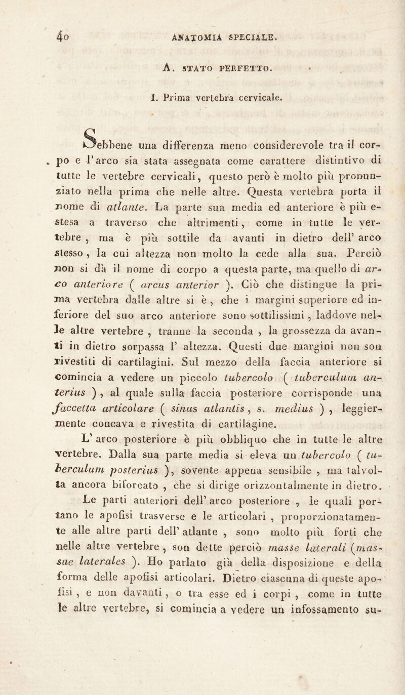 A. STATO PERFETTO. I. Prima vertebra cervicale, Sebbene una differenza meno considerevole tra iì cor- . po e l’arco sia stata assegnata come carattere distintivo di tutte le vertebre cervicali, questo però è molto piu pronun¬ ziato nella prima che nelle altre. Questa vertebra porta il nome di atlante. La parte sua media ed anteriore è piu e- stesa a traverso die altrimenti, come in tutte le ver¬ tebre , ma è pili sottile da avanti in dietro dell’ arco stesso, la cui altezza non molto la cede alla sua. Perciò non si da il nome di corpo a questa parte, ma quello di ar¬ co anteriore ( arcus anterior ). Ciò che distingue la pri¬ ma vertebra dalle altre si e , che i margini superiore ed in¬ feriore dei suo arco anteriore sono sottilissimi , laddove nel¬ le altre vertebre , tranne la seconda , la grossezza da avan¬ ti in dietro sorpassa F altezza. Questi due margini non son rivestiti di cartilagini. Sul mezzo della faccia anteriore si comincia a vedere un piccolo tubercolo ( tuberculum an- terms ) , al quale sulla faccia posteriore corrisponde una faccetta articolare ( sinus atlantis, s. medius ) , leggier¬ mente concava e rivestita di cartilagine. L’ arco posteriore è piu ohbìiquo che in tutte le altre vertebre. Dalla sua parte media si eleva un tubercolo ( tu¬ berculum posterius ), sovente appena sensibile , ma talvol¬ ta ancora biforcato , che si dirige orizzontalmente in dietro. Le parti anteriori dell’ arco posteriore , le quali por¬ tano le apofisi trasverse e le articolari , proporzionatamen¬ te alle altre parti dell1 atlante , sono molto pili forti che nelle altre vertebre , son dette perciò masse latercdi (mas- sae laterales ). Ho parlato già della disposizione e della forma delle apofisi articolari. Dietro ciascuna di queste apo- lisi , e non davanti, o tra esse ed i corpi , come in tutte le altre vertebre, si comincia a vedere un infossamento su-