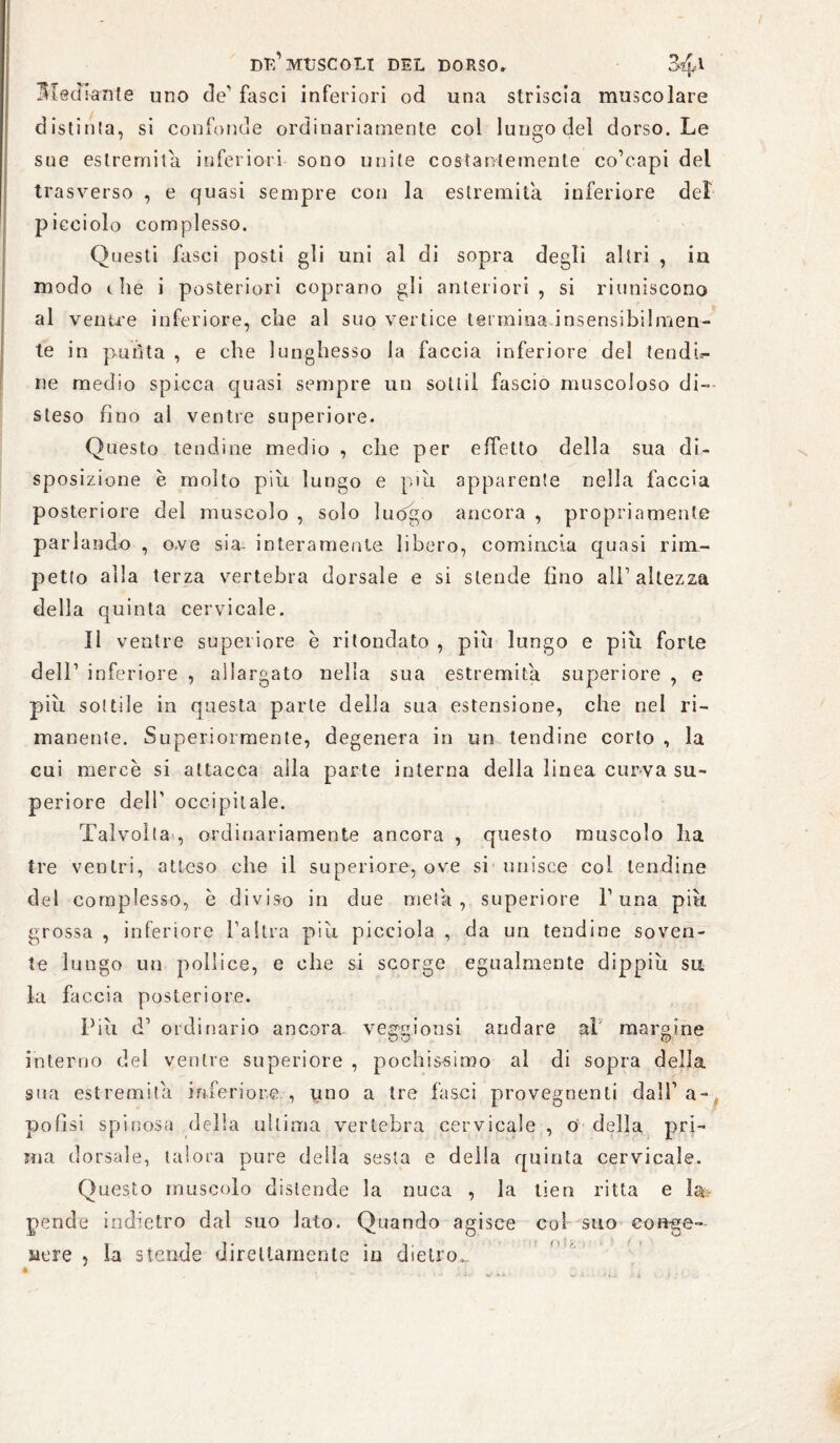 Mediante uno de’ fasci inferiori od una striscia muscolare distinta, si confonde ordinariamente col lungo del dorso. Le sue estremila inferiori sono unite costantemente co’capi del trasverso , e quasi sempre con la estremità inferiore del picciolo complesso. Questi fasci posti gli uni al di sopra degli altri , in modo i he i posteriori coprano gli anteriori, si riuniscono al ventre inferiore, che al suo vertice termina insensibilmen¬ te in punta , e che lunghesso la faccia inferiore del tendn- ne medio spicca quasi sempre un sottil fascio muscoloso di¬ steso fino al ventre superiore. Questo tendine medio , che per effetto della sua di¬ sposizione è molto più lungo e più apparente nella faccia posteriore del muscolo , solo luogo ancora , propriamente parlando , ove sia- interamente libero, comincia quasi rim- petto alla terza vertebra dorsale e si stende fino all’altezza della quinta cervicale. Il ventre superiore e rifondato , piu lungo e più forte dell’ inferiore , allargato nella sua estremità superiore , e più sottile in questa parte della sua estensione, che nel ri¬ manente. Superiormente, degenera in un tendine corto , la cui mercè si attacca alla parte interna della linea curva su¬ periore dell’ occipitale. Talvolta , ordinariamente ancora , questo muscolo ha tre ventri, atteso che il superiore, ove si unisce col lendine del complesso, è diviso in due metà, superiore V una più grossa , inferiore l’altra più picciola , da un tendine soven¬ te lungo un pollice, e che si scorge egualmente dippiù sa la faccia posteriore. Più d’ ordinario ancora vegg.ionsi andare aP margine interno del ventre superiore , pochissimo al di sopra della sua estremità inferiore., uno a tre fasci provegnenti dall’ a- pofisi spinosa della ultima vertebra cervicale , o della pri¬ ma dorsale, talora pure deila sesta e della quinta cervicale. Questo muscolo distende la nuca , la tien ritta e la? pende indietro dal suo lato. Quando agisce col suo conge¬ nere , la stende direttamente in dietro*.