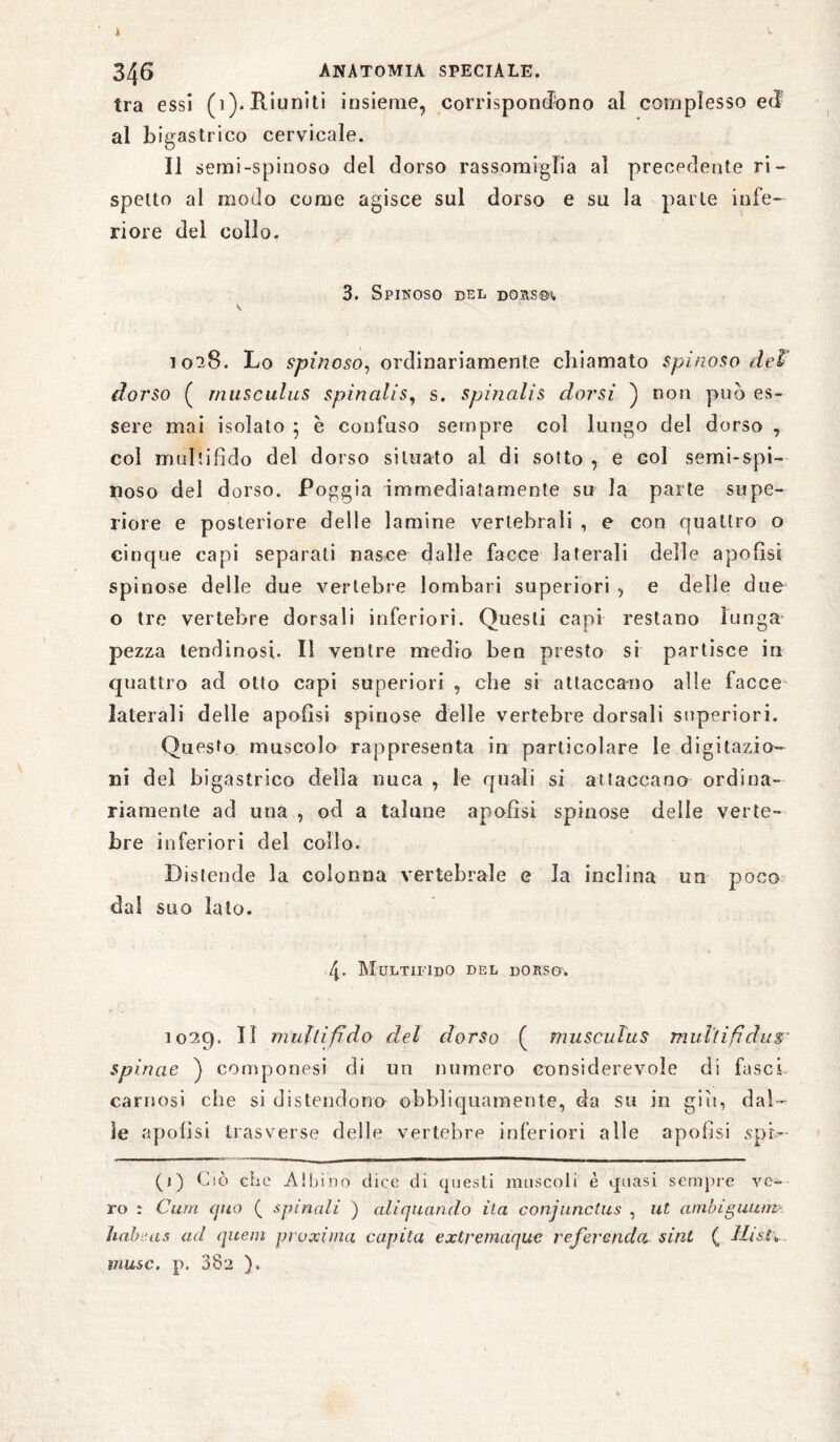 3/{6 ANATOMIA speciale. tra essi (1). Riuniti insieme, corrispondono al complesso ed al bigastrico cervicale. Il semi-spinoso del dorso rassomiglia al precedente ri¬ spetto al modo come agisce sul dorso e su la parie infe¬ riore del collo. 3. Spinoso del dorsch \ 1028. Lo spinoso, ordinariamente chiamato spinoso deV dorso ( musculus spinalis, s. spincdis dorsi ) non può es¬ sere mai isolato 5 e confuso sempre col lungo del dorso , col multifìdo del dorso situato al di sotto , e col semi-spi¬ noso del dorso. Poggia immediatamente su la parte supe¬ riore e posteriore delle lamine vertebrali , e con quattro o cinque capi separati nasce dalle facce laterali delle apofisi spinose delle due vertebre lombari superiori , e delle due o tre vertebre dorsali inferiori. Questi capi restano lunga pezza lendinosi. Il ventre medio ben presto si partisce in quattro ad otto capi superiori , che si attaccano alle facce laterali delle apofisi spinose delle vertebre dorsali superiori. Questo muscolo rappresenta in particolare le digitazio¬ ni del bigastrico della nuca , le quali si attaccano ordina¬ riamente ad una , od a talune apofisi spinose delle verte¬ bre inferiori del collo. Distende la colonna vertebrale e la inclina un poco dal suo lato. 4- Multifìdo del dorso. 1029. Il multifìdo del dorso ( musculus mulìifìdus- spinae ) componesi di un numero considerevole di fasci¬ carnosi che si distendono ebbi i quarta ente, da su in giu, dal¬ le apofisi trasverse delle vertebre inferiori alle apofisi ,spr>- (1) Ciò che Albino dice di questi muscoli è quasi sempre ve¬ ro : Curri (juo ( spinali ) aliquando ila conjunctus , ut ambiguutn habe, a s ad quem pruxima capita extremaquc re ferendo, siili ( /lisi; muse. p. 38'2 ).