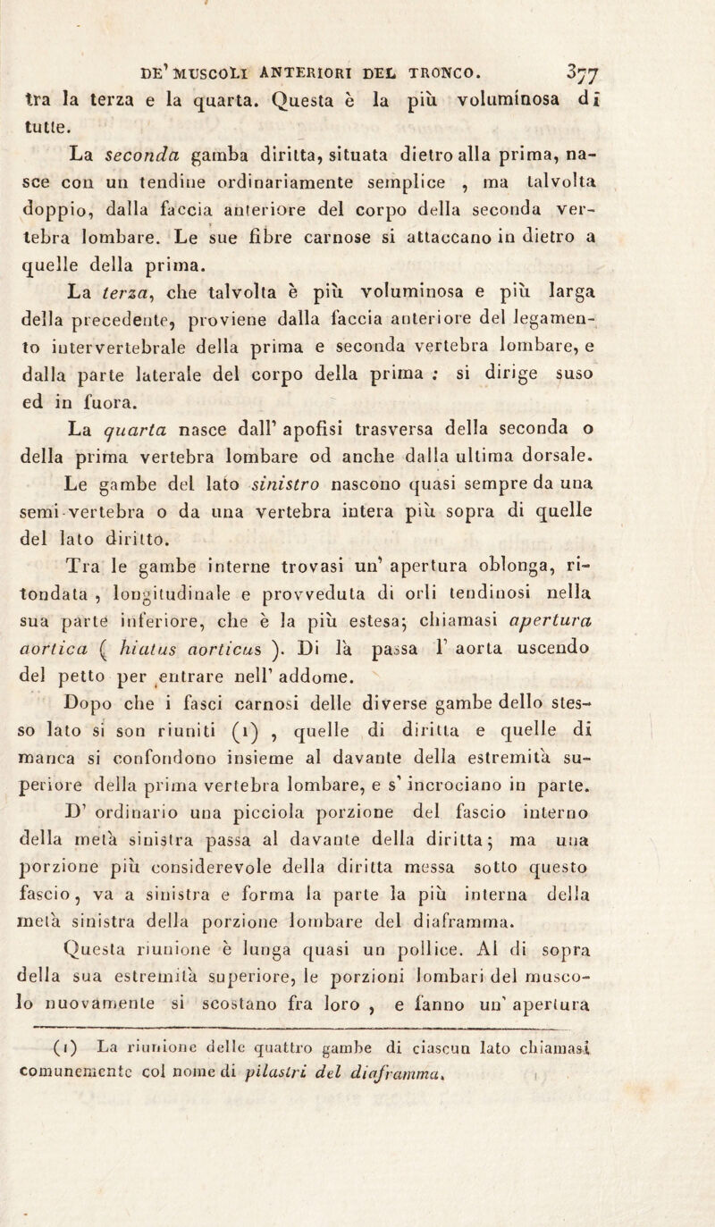 tra la terza e la quarta. Questa è la più voluminosa di tutte. La seconda gamba diritta, situata dietro alla prima, na¬ sce con un tendine ordinariamente semplice , ma talvolta doppio, dalla faccia anteriore del corpo della seconda ver¬ tebra lombare. Le sue fibre carnose si attaccano in dietro a quelle della prima. La terza, che talvolta è più voluminosa e più larga della precedente, proviene dalla faccia anteriore del legamen¬ to intervertebrale della prima e seconda vertebra lombare, e dalla parte laterale del corpo della prima ; si dirige suso ed in fuora. La quarta nasce dall1 apofisi trasversa della seconda o della prima vertebra lombare od anche dalla ultima dorsale. Le gambe del lato sinistro nascono quasi sempre da una semi vertebra 0 da una vertebra intera più sopra di quelle del lato diritto. Tra le gambe interne trovasi un1 apertura oblonga, ri- tondata , longitudinale e provveduta di orli tendinosi nella sua parte inferiore, che è la più estesa; chiamasi apertura aortica ( hiatus aorticus ). Di la passa F aorta uscendo del petto per entrare nell1 addome. Dopo che i fasci carnosi delle diverse gambe dello stes¬ so lato si son riuniti (1) , quelle di diritta e quelle di manca si confondono insieme al davante della estremità su¬ periore della prima vertebra lombare, e s1 incrociano in parte. D1 ordinario una picciola porzione del fascio interno della meta sinistra passa al davante della diritta; ma una jjorzione più considerevole della diritta messa sotto questo fascio, va a sinistra e forma la parte la più interna della mela sinistra della porzione lombare del diaframma. Questa riunione è lunga quasi un pollice. Al di sopra della sua estremila superiore, le porzioni lombari del musco¬ lo nuovamente si scostano fra loro , e fanno un' apertura (1) La riunione delle quattro gambe di ciascun lato chiamasi comunemente coi nome di pilastri del diaframma.