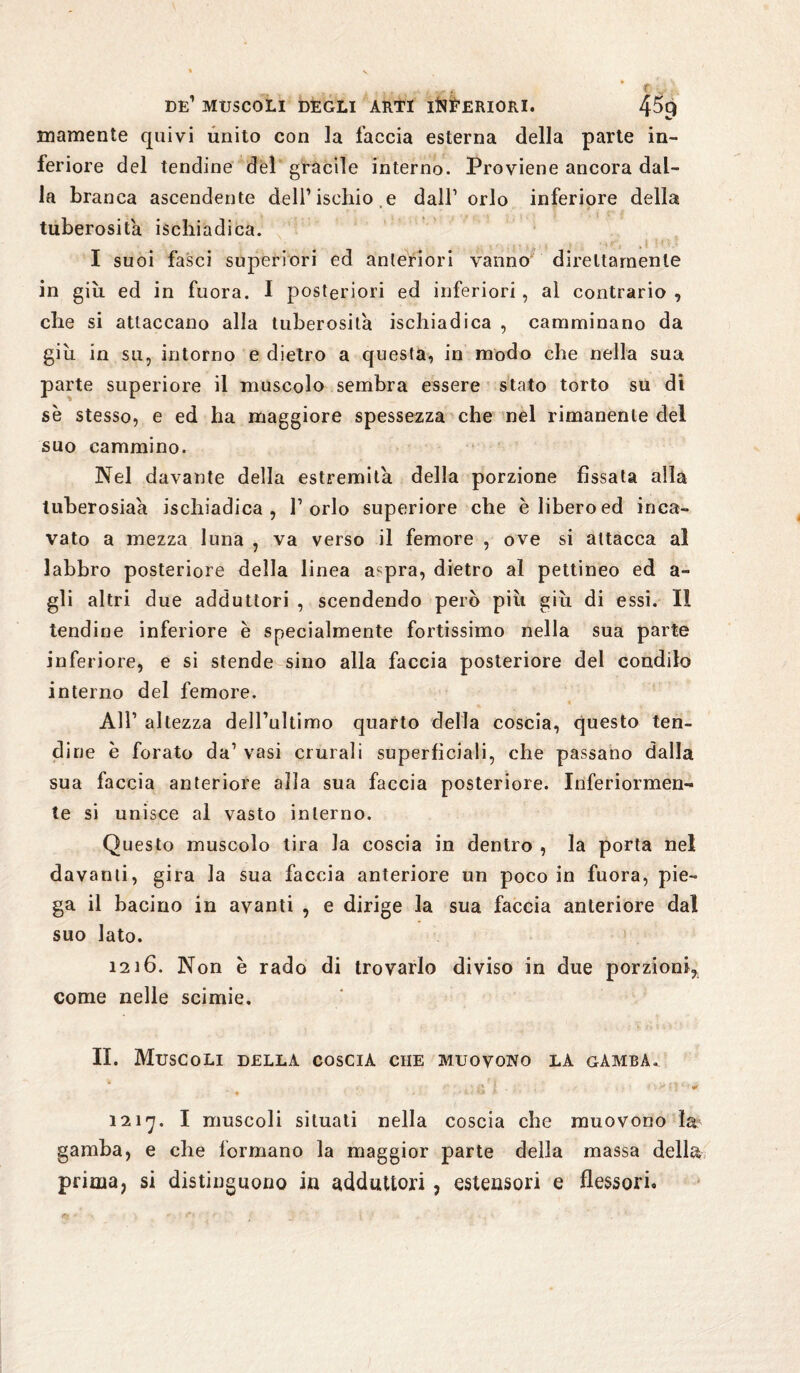 DE1 MUSCOLI DEGLI ARTI INFERIORI. 4^9 inamente quivi unito con la faccia esterna della parte in¬ feriore del tendine del gracile interno. Proviene ancora dal¬ la branca ascendente dell1 ischio .e dall1 orlo inferiore della tuberosità ischiadica. I suoi fasci superiori ed anteriori vanno direttamente in giù ed in fuora. I posteriori ed inferiori, al contrario , che si attaccano alla tuberosità ischiadica , camminano da giù in su, intorno e dietro a questa, in modo che nella sua parte superiore il muscolo sembra essere stato torto su di se stesso, e ed ha maggiore spessezza che nel rimanente del suo cammino. Nel davante della estremità della porzione fissata alla tuberosiaa ischiadica, l’orlo superiore che è libero ed inca¬ vato a mezza luna , va verso il femore , ove si attacca al labbro posteriore della linea a^pra, dietro al pettineo ed a- gli altri due adduttori , scendendo però più giù di essi. Il tendine inferiore e specialmente fortissimo nella sua parte inferiore, e si stende sino alla faccia posteriore del condilo interno del femore. All1 altezza dell’ultimo quarto della coscia, questo ten¬ dine è forato da1 vasi crurali superficiali, che passano dalla sua faccia anteriore alla sua faccia posteriore. Inferiormen¬ te si unisce al vasto interno. Questo muscolo tira la coscia in dentro , la porta nel davanti, gira la sua faccia anteriore un poco in fuora, pie¬ ga il bacino in avanti , e dirige la sua faccia anteriore dal suo lato. i2t6. Non è rado di trovarlo diviso in due porzioni, come nelle scinde. II. Muscoli della coscia che muovono la gàmbA^ q'i . . - « -m** 121y. I muscoli situati nella coscia che muovono la? gamba, e che formano la maggior parte della massa della prima, si distinguono in adduttori , estensori e flessori.