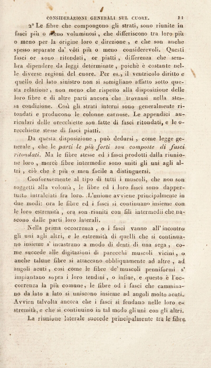 2° Le fibre che compongono gli strati, sono riunite in lasci piu o $bno voluminosi , che differiscono tra loro piu o meno per la origine loro e direzione , e che son anche spesso separate da1 vóti piti o meno considerevoli. Questi lasci or sono rifondali, or piatti, differenza che sem¬ bra dipendere da leggi determinate , poiché è costante nel¬ le diverse regioni del cuore. Per es., il ventricolo diritto e quello del lato sinistro non si somigliano affatto sotto que¬ sta relazione , non meno che rispetto alia disposizione delle loro fibre e di altre parti ancora che trovatisi nella stes¬ sa condizione. Così gli strati interni sono generalmente ri- tondati e producono le colonne carnose. Le appendici au¬ ricolari delle orecchiette son. fatte di fasci ritondati, e le o- recchiette stesse di fasci piatti. Da questa disposizione , può dedursi , come legge ge¬ nerale , che le parti le pia forti son composte di fasci ritondati. Ma le fibre stesse ed i fasci prodotti dalla riunio¬ ne loro , mercè fibre intermedie sono uniti gli uni agli al¬ tri , ciò che è piu o men facile a distinguersi. Conformemente al tipo di tutti i muscoli, che non soni soggetti alla volontà , le fibre ed i loro fasci sono dapper¬ tutto intralciali Ira loro- .L’unione avviene principalmente in due modi: ora le fibre ed i fasci si continuano insieme con le loro estremità . ora son riuniti con fili intermedii che na- scono dalle parti loro laterali. xSeìla prima occorrenza, o i fasci vanno all’incontro gli uni agli altri, e le estremità di quelli che si continua¬ no insieme s’ incastrano a modo di denti di una sega 5 co¬ me succede alle digitazioni di parecchi muscoli vicini , o anche talune fibre si attaccano obbJiquamente ad altre , ad àngoli acuti , cosi come le fibre de’ muscoli penniformi s’ impiantano sopra i loro lendini , o infine, e questo è l’oc¬ correnza la piu comune, le fibre od i fasci che cammina¬ no da Iato a lato si uniscono insieme ad angoli molto acuti» Avvien talvolta ancora che i fasci si fendano nelle loro e~ stremila, e che si continuino in tal modo gli uni con gli altri« La riunione laterale succede principalmente tra le fibre-