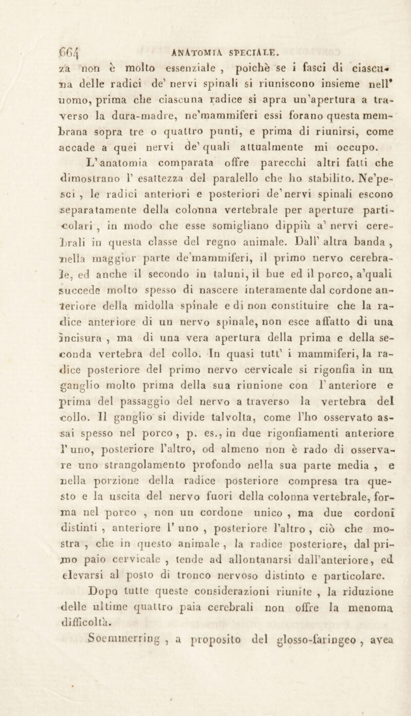 za non è molto essenziale , poiché se i fasci di ciascu* Tia delle radici de1 nervi spinali si riuniscono insieme nell* nomo, prima che ciascuna radice si apra un’apertura a tra¬ verso la dura-madre, ne’mammiferi essi forano questa mem¬ brana sopra tre o quattro punti, e prima di riunirsi, come accade a quei nervi de’quali attualmente mi occupo. L’anatomia comparata offre parecchi altri fatti che dimostrano 1’ esattezza del paralello che ho stabilito. Ne’pe- sci , le radici anteriori e posteriori de’nervi spinali escono separatamente della colonna vertebrale per aperture parti¬ colari , in modo che esse somigliano dippiù a1 nervi cere¬ brali in questa classe del regno animale. Dall' altra banda , nella maggior parte de’mammiferi, il primo nervo cerebra¬ le, ed anche il secondo in taluni, il bue ed il porco, a’quali succede molto spesso di nascere interamente dal cordone an¬ teriore della midolla spinale e di non conslituire che la ra¬ dice anteriore di un nervo spinale, non esce affatto di una àncisura , ma di una vera apertura della prima e della se¬ conda vertebra del collo. In quasi tutt’ i mammiferi, la ra¬ dice posteriore del primo nervo cervicale si rigonfia in un ganglio molto prima della sua riunione con 1 anteriore e prima del passaggio del nervo a traverso la vertebra del collo. Il ganglio si divide talvolta, come l’ho osservato as¬ sai spesso nel porco, p. es., in due rigonfiamenti anteriore l’uno, posteriore l’altro, od almeno non è rado di osserva¬ re uno strangolamento profondo nella sua parte media , e nella porzione della radice posteriore compresa tra que¬ sto e la uscita del nervo fuori della colonna vertebrale, for¬ ma nel porco , non un cordone unico , ma due cordoni distinti , anteriore 1’ uno , posteriore l’altro , ciò che mo¬ stra , che in questo animale , la radice posteriore, dal pri¬ mo paio cervicale , tende ad allontanarsi dall’anteriore, ed elevarsi al posto di tronco nervoso distinto e particolare. Dopo tutte queste considerazioni riunite , la riduzione delle ultime quattro paia cerebrali non offre la menoma difficolta. Soemmerring , a proposito del glosso-fai ingeo , avea