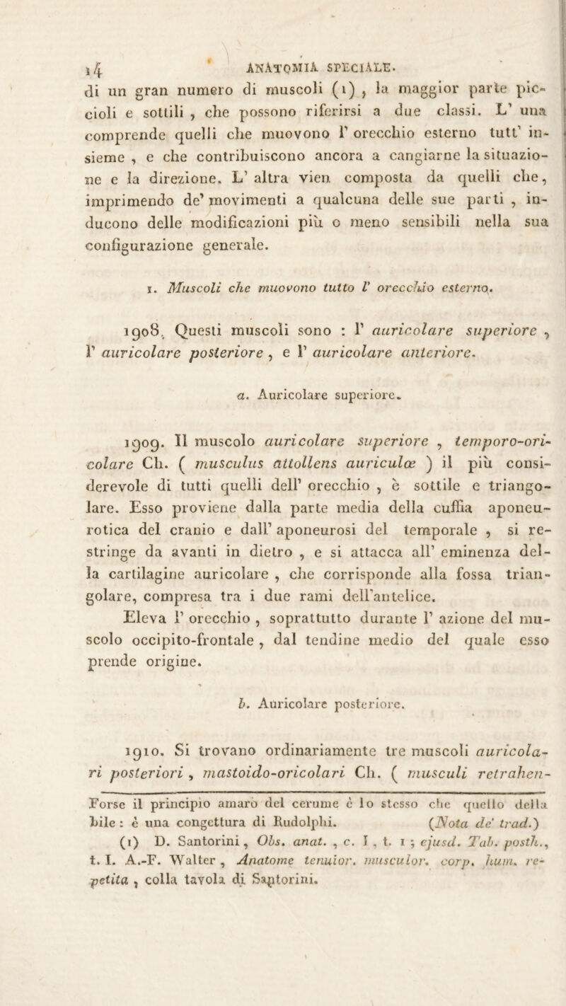 di un gran numero di muscoli (v) , la maggior parte pic¬ cioli e sottili , die possono riferirsi a due classi. L* 1 una comprende quelli die muovono T orecchio esterno luti1 in¬ sieme , e che contribuiscono ancora a cangiarne la situazio¬ ne e la direzione. L’ altra vien composta da quelli che, imprimendo de’movimenti a qualcuna delle sue parti , in¬ ducono delle modificazioni piu c meno sensibili nella sua configurazione generale. i. Muscoli che muovono tutto V orecchio esterno. igoS. Questi muscoli sono : l1 auricolare superiore , T auricolare posteriore , e F auricolare anteriore- a. Auricolare superiore. igog. Il muscolo auricolare superiore , temporo-ori- colare Ch. ( musculus attollens auriculoe ) il più consi¬ derevole di tutti quelli dell1 orecchio , è sottile e triango¬ lare. Esso proviene dalla parte media della cuffia aponeu- rotica del cranio e dall1 aponeurosi del temporale , si re¬ stringe da avanti in dietro , e si attacca all1 eminenza del¬ la cartilagine auricolare , che corrisponde alla fossa trian¬ golare, compresa tra i due rami delFantelice. Eleva T orecchio , soprattutto durante l1 azione del mu¬ scolo occipito-frontale, dal tendine medio del quale esso prende origine. h. Auricolare posteriore. igio. Si trovano ordinariamente tre muscoli auricola¬ ri posteriori , niastoido-oricolari Ch. ( musculi retrahen- Forsc il principio amaro del cerume è lo stesso che quello della bile : è una congettura di Rudolplii. (iVota de traci.) (i) D. Santorini, Obs. anat. , c. I , t. i ; ejusd. Tal. posth t. I. A.-F. Walter , Anatome lenuior. musculor. corp. hum. re- ■petita , colla tavola di Saptorini.