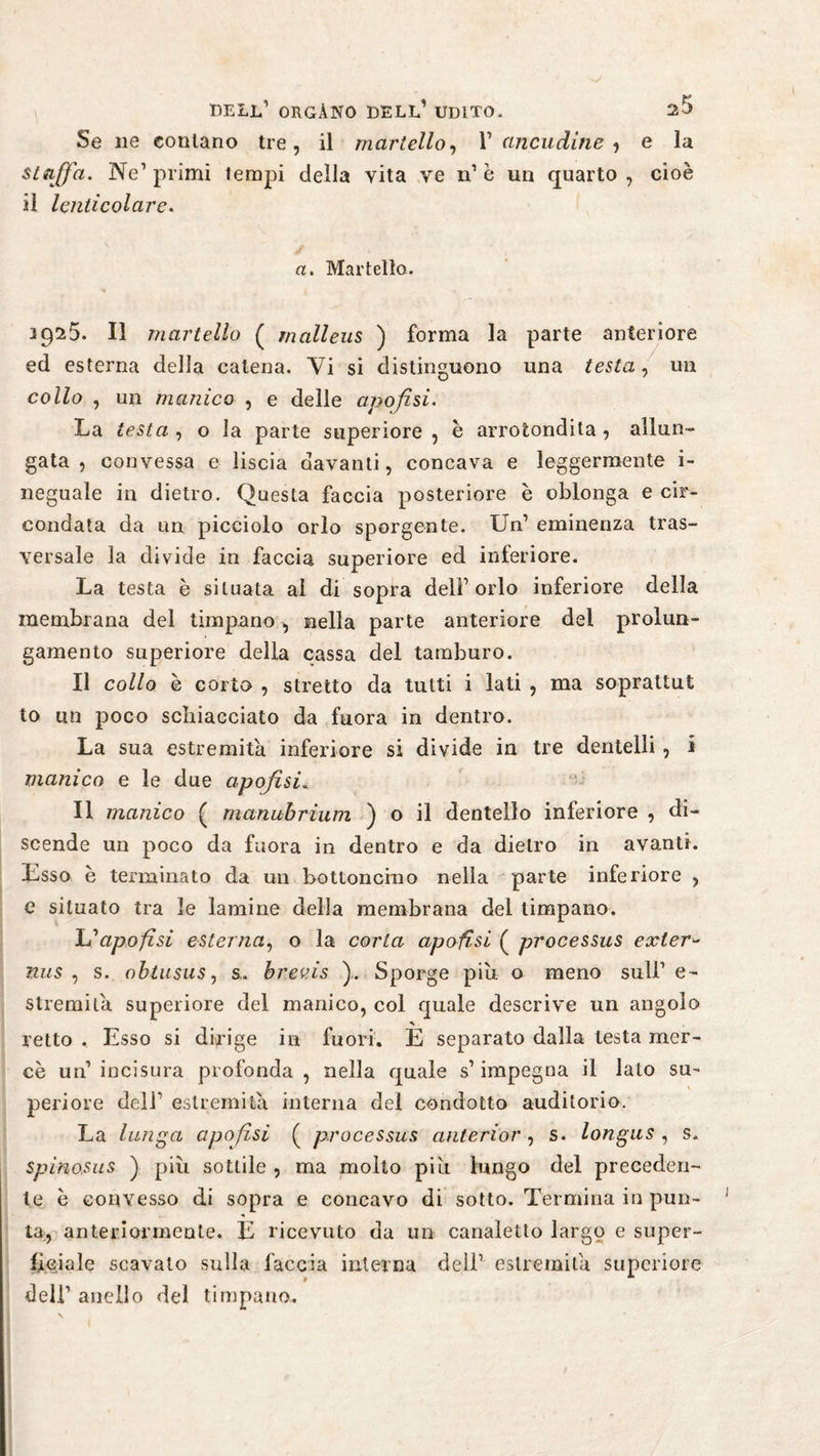 ftp DELL1 ORGANO DELL1 UDITO. Se ne contano tre, il martello, l1 ancudine > e la staffa. Ne1 primi tempi della vita ve n1 è un quarto , cioè il lenticolare. a. Martello. 3925. Il martello ( malleus ) forma la parte anteriore ed esterna della catena. Vi si distinguono una testa, un collo , un manico , e delle apofisi. La testa , o la parte superiore , è arrotondila , allun¬ gata , convessa e liscia davanti, concava e leggermente i- neguale in dietro. Questa faccia posteriore è oblonga e cir¬ condata da un picciolo orlo sporgente. Un1 eminenza tras¬ versale la divide in faccia superiore ed interiore. La testa è situata al di sopra deli1 orlo inferiore della membrana del timpano, nella parte anteriore del prolun¬ gamento superiore della cassa del tamburo. Il collo è corto , stretto da tutti i lati , ma soprattut lo un poco schiacciato da fuora in dentro. La sua estremità inferiore si divide in tre dentelli , i manico e le due apofisi. Il manico ( manubrium ) o il dentello inferiore , di¬ scende un poco da fuora in dentro e da dietro in avanti. Esso è terminato da un bottoncino nella parte inferiore , e situato tra le lamine della membrana del timpano. L'apofisi esterna, o la corta apofisi ( processus exter- nus , s. obtusus, s, brevis ).. Sporge più o meno sull1 e- Stremila superiore del manico, col quale descrive un angolo retto . Esso si dirige in fuori. E separato dalla testa mer¬ cè un1 incisura profonda , nella quale s1 impegna il lato su¬ periore dell1 estremità interna del condotto auditorio. La lunga apofisi ( processus anterior, s. longus , s. Spino,sus ) più sottile , ma molto più lungo del preceden¬ te è convesso di sopra e concavo di sotto. Termina in pun¬ ta, anteriormente. E ricevuto da un canaletto largo e super¬ ficiale scavato sulla faccia interna dell1 estremila superiore dell1 anello del timpano.