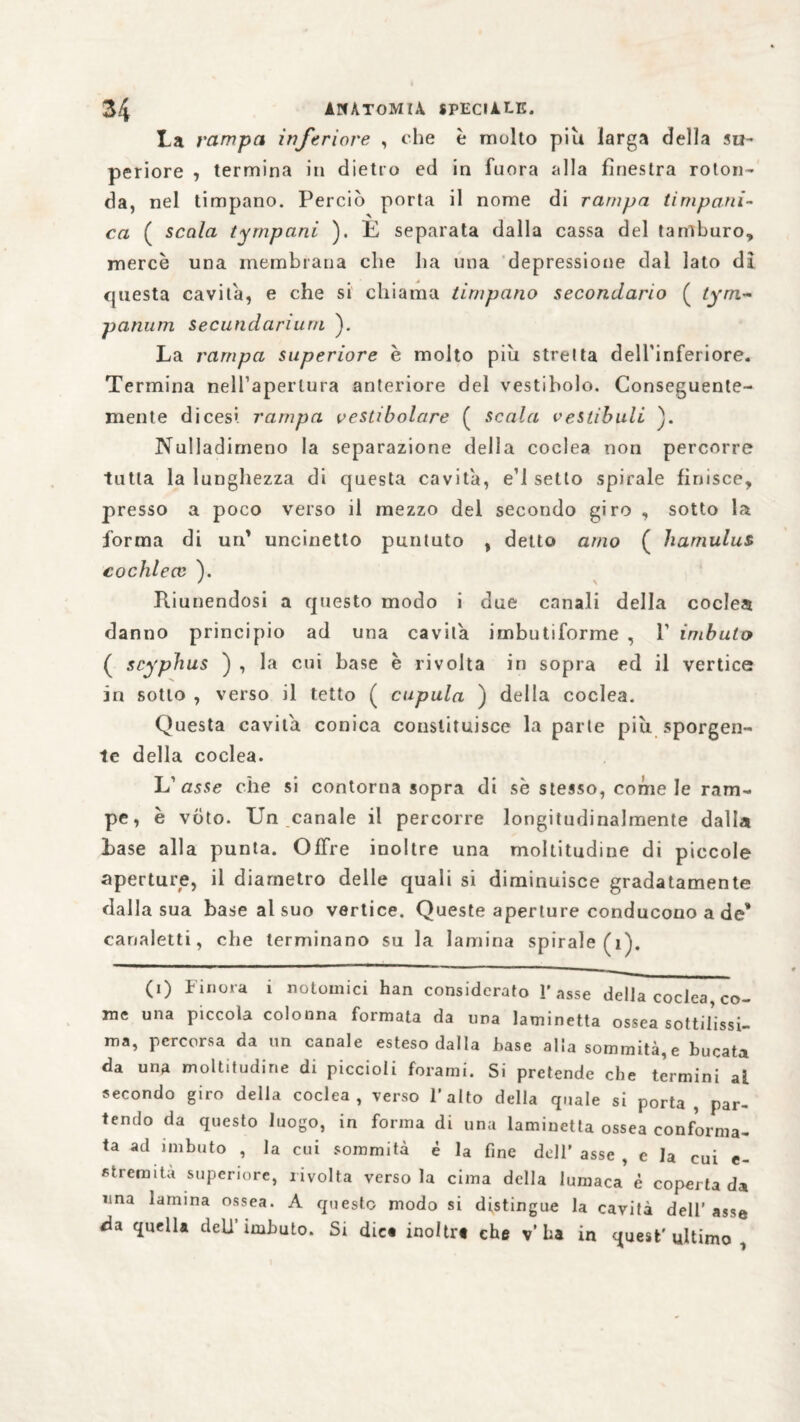 La rampa inferiore , che è molto piu larga della su¬ periore , termina in dietro ed in fuora alla finestra roton¬ da, nel timpano. Perciò porta il nome di rampa timpani¬ ca ( scala tympani ). L separata dalla cassa del tamburo, mercè una membrana che ha una depressione dal lato dì questa cavita, e che si chiama timpano secondario ( tym~ panum secundarium ). La rampa superiore è molto piu stretta dell’inferiore. Termina nell’apertura anteriore del vestibolo. Conseguente¬ mente dicesi rampa vestibolare ( scala vestibuli ). Nulladimeno la separazione della coclea non percorre tutta la lunghezza di questa cavita, e’1 setto spirale finisce, presso a poco verso il mezzo del secondo giro , sotto la forma di un' uncinetto puntuto , detto amo ( hamulus cochlecv ). Riunendosi a questo modo i due canali della coclea danno principio ad una cavita imbutiforme , 1’ imbuto ( scyphus ) , la cui base è rivolta in sopra ed il vertice in sotto , verso il tetto ( cupula ) della coclea. Questa cavila conica conslituisce la parte piu sporgen¬ te della coclea. L’ asse che si contorna sopra di sè stesso, come le ram¬ pe, è voto. LTn canale il percorre longitudinalmente dalla base alla punta. Offre inoltre una moltitudine di piccole aperture, il diametro delle quali si diminuisce gradatamente dalla sua base al suo vertice. Queste aperture conducono a de* canaletti, che terminano su la lamina spirale (1). (i) Finora i notomici han considerato l’asse della coclea, co¬ me una piccola colonna formata da una laminetta ossea sottil’issi- ma, percorsa da un canale esteso dalla base al la sommità, e bucata da una moltitudine di piccioli forami. Si pretende che termini al secondo giro della coclea, verso l’alto della quale si porta, par¬ tendo da questo luogo, in forma di una laminetta ossea conforma¬ ta ad imbuto , la cui sommità è la fine dell’ asse , e la cui e- stremità superiore, rivolta versola cima della lumaca è coperta da una lamina ossea. A questo modo si distingue la cavità dell’asse da quella dell’imbuto. Si dici inoltri ehe v’ha in quest'ultimo,