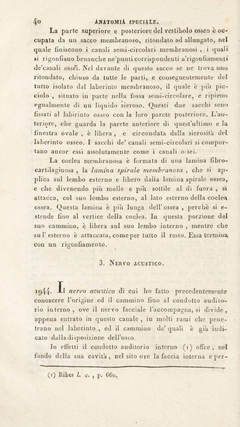 La parte superiore e posteriore del vestibolo osseo c oc¬ cupata da un sacco membranoso, ritondalo ad allungato, nel quale Uniscono i canali semi-circolari membranosi , i quali si rigonfiano benanche ne’punti corrispondenti a’rigonfiamenli de’canali ossei. Nel davante di questo sacco se ne trova uno ritondalo, chiuso da tutte le parli, e conseguentemente del tutto isolato dal labei’into membranoso, il quale è piti pic¬ ciolo , situato in parte nella fossa semi-circolare, e ripieno egualmente di un liquido sieroso. Questi due sacelli sono fissati al labirinto osseo con la loro parete posteriore. L’an¬ teriore, che guarda la parete anteriore di quest’ultimo e la finestra ovale , è libera , e circondata dalla sierosità del laberinto osseo. I sacelli de’ canali semi-circolari si compor¬ tano ancor essi assolutamente come i canali o-sei. La coclea membranosa è formata di una lamina fibro- cartilaginosa , la lamina spirale membranosa , che si ap¬ plica sul lembo esterno e libero dalia lamina spirale ossea, e che divenendo piu molle e più sottile al di luora , si attacca, col suo lembo esterno, al lato esterno della coclea ossea. Questa lamina è piu lunga dell’ossea , perchè si e- stende fino al vertice della coclea. In questa porzione del suo cammino, è libera sul suo lembo interno , mentre che su l’esterno è attaccata, come per tutto il resto. Essa lerairna con un rigonfiamento. 3. Nervo acustico. »944- Xl nervo acustico di cui ho fatto precedentemente conoscere l’origine ed il cammino fino al condotto audito¬ rio interno, ove il nervo facciale l’accompagna, si divide, appena entrato in questo canale , in molti rami che pene¬ trano nel laberinto , ed il cammino de’ quali è giu indi¬ cato dalla disposizione dell’osso. In effetti il condotto auditorio interno (1) offre, nel fondo della sua cavita , nel sito oye la faccia interna e per-