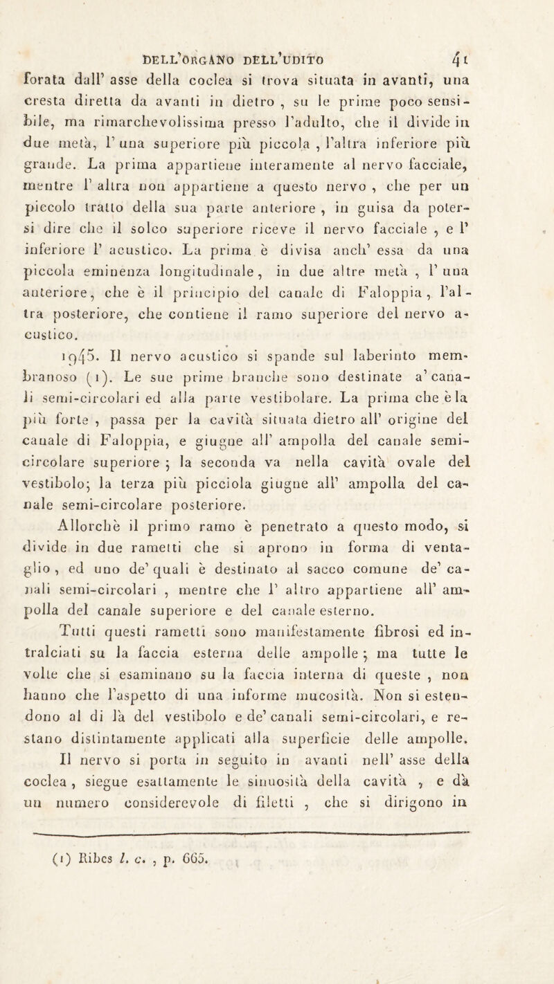 forata dall' asse della coclea si trova situata in avanti, una cresta diretta da avanti in dietro, su le prime poco sensi¬ bile, ma rimarchevolissima presso l’adulto, che il divide in due metà, P una superiore piu piccola , l’altra inferiore piu grande. La prima appartiene interamente al nervo facciale, mentre P altra non appartiene a questo nervo , che per un piccolo tratto della sua parte anteriore , in guisa da poter¬ si dire che il solco superiore riceve il nervo facciale , e P inferiore P acustico. La prima è divisa aneli’ essa da una piccola eminenza longitudinale, in due altre meta , P una anteriore, che è il principio del canale di Faloppia, l’al¬ tra posteriore, che contiene il ramo superiore del nervo a- custico. ìc)45. Il nervo acustico si spande sul laberinto mem¬ branoso (q). Le sue prime branche sono destinate a’cana¬ li semi-circolari ed alla parte vestibolare. La prima che èia piu forte , passa per la cavita situata dietro all’ origine del canale di Faloppia, e giugne all’ ampolla del canale semi- circolare superiore ; la seconda va nella cavita ovale del vestibolo; la terza piu picciola giugne all’ ampolla del ca¬ nale semi-circolare posteriore. Allorché il primo ramo è penetrato a questo modo, si divide in due ramelti che si aprono in forma di venta¬ glio , ed uno de’ quali è destinato al sacco comune de’ ca¬ nali semi-circolari , mentre che P altro appartiene ali’ am¬ polla del canale superiore e del canale esterno. Tutti questi rametti sono manifestamente fibrosi ed in¬ tralciati su la faccia esterna delle ampolle ; ma tutte le volte che si esaminano su la faccia interna di queste , non hanno che l’aspetto di una informe mucosità. Non si esten¬ dono al di là del vestibolo e de1 canali semi-circolari, e re¬ stano distintamente applicati alla superficie delle ampolle. Il nervo si porta in seguito in avanti nell’ asse della coclea , siegue esattamente le sinuosità della cavità. , e da un numero considerevole di filetti , che si dirigono in