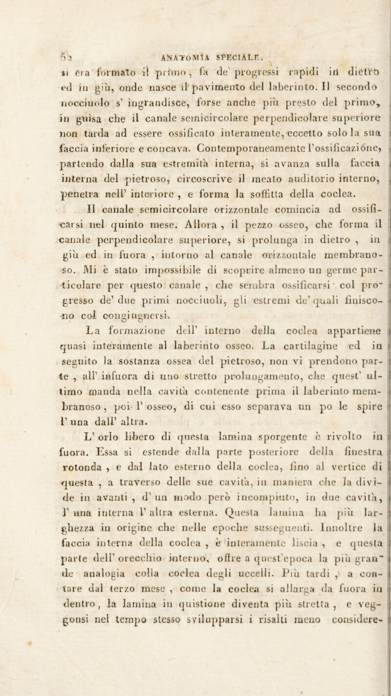 si da formalo il primo, fa de progressi rapidi in dietro ed in giù, onde nasce il pavimento del laberinto. Il secondo iiocciuolo s1 ingrandisce, forse anche più presto del primo, , in guisa che il canale semicircolare perpendicolare superiore non tarda ad essere ossificato interamente, eccetto solo la sua faccia inferiore e concava. Contemporaneamente l’ossificazióne* J partendo dalla sua estremila interna, si avanza sulla faccia i interna del pietroso, circoscrive il meato auditorio interno, , penetra nell1 interiore , e forma la soffitta della coclea. Il canale semicircolare orizzontale comincia ad ossifi¬ carsi nel quinto mese. Allora , il pezzo osseo, che forma il ; canale perpendicolare superiore, si prolunga in dietro , in giu ed in fuora , intorno al canale orizzontale membrano- < so. Mi è stato impossibile di scoprire almeno un germe par- ; ticolare per questo canale , che sembra ossificarsi' col pro“ ì gresso de1 due primi noccinoli, gli estremi de1 quali finisco- ■ -no col congiugnersi. La formazione dell1 interno della coclea appartiene i quasi interamente al laberinto osseo. La cartilagine ed in i seguito la sostanza ossea del pietroso, non vi prendono par- : te , all1 infuora di uno stretto prolungamento, ciré quest1 ul- ! timo manda nella cavita contenente prima il laberinto meni- . branoso , poi l1 osseo, di cui esso separava un po le spire L una dall1 altra. L1 orlo libero di questa lamina sporgente è rivolto in fuora. Essa si estende dalla parte posteriore della finestra fi rotonda , e dal lato esterno della coclea, fino al vertice di ! questa , a traverso delle sue cavita, in maniera che la divi¬ de in avanti , d1 un modo però incompiuto, in due cavita, i I1 una interna l1 altra esterna. Questa lamina ha più lar- : ghezza in origine che nelle epoche susseguenti. Innoltre la , faccia interna della coclea , è interamente liscia , e questa ì parte dell1 orecchio interno, offre a quest’epoca la più gran i de analogia colia coclea degli uccelli. Più tardi , a con- i tare dal terzo mese , come la coclea si allarga da fuora in dentro, la lamina in quistione diventa più stretta, e veg- ; gonsi nel tempo stesso svilupparsi i risalti meno considere- ;