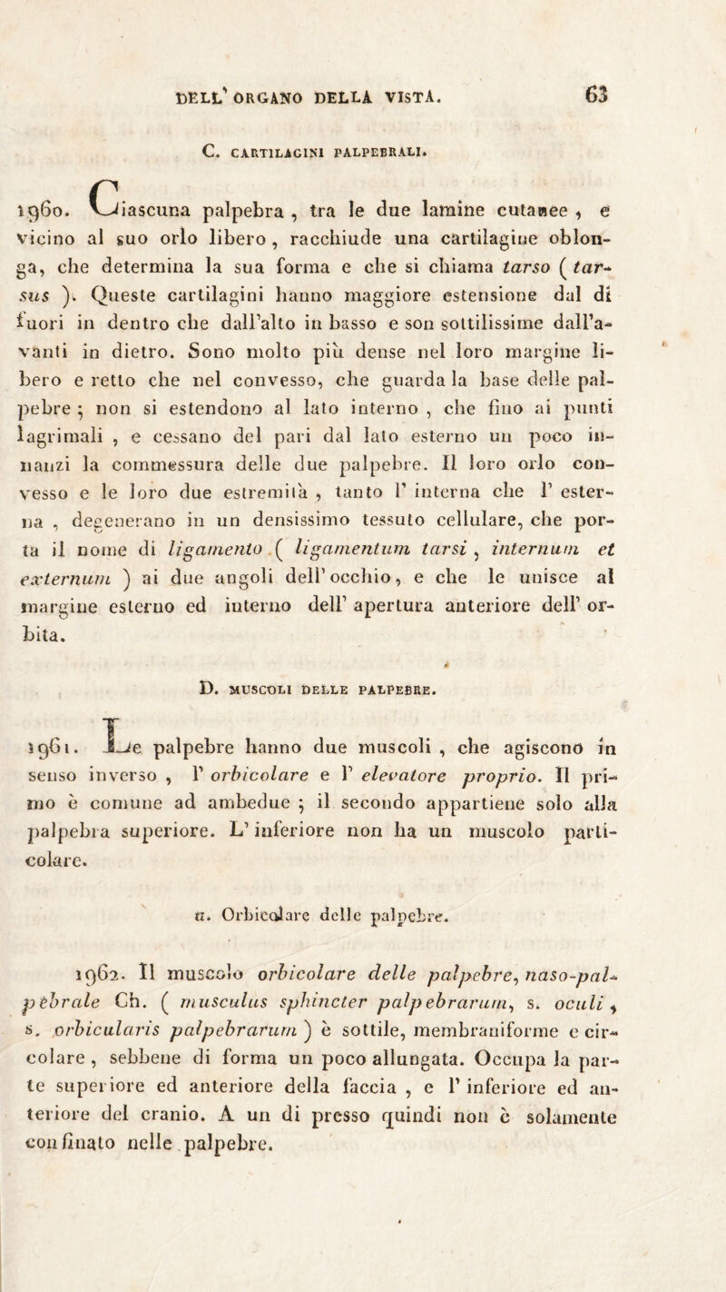 C. CARTILAGINI PALPEBRALI. 1960. Ciascuna palpebra, tra le due lamine cutanee , e vicino al suo orlo libero , racchiude una cartilagine oblon- ga, che determina la sua forma e che si chiama tarso ( tar* sus )„ Queste cartilagini hanno maggiore estensione dal di iuori in dentro che dall’alto in basso e son sottilissime dall’a- vanti in dietro. Sono molto piu dense nel loro margine li¬ bero e retto che nel convesso, che guarda la base delle pal¬ pebre 5 non si estendono al lato interno , che fino ai punti ìagrimali , e cessano del pari dal lato esterno un poco in¬ nanzi la commessura delle due palpebre. Il loro orlo con¬ vesso e le loro due estremila , tanto fi interna che 1’ ester¬ na , degenerano in un densissimo tessuto cellulare, che por¬ ta il nome di ligarnento ( ligamentum tarsi , internarli et externum ) ai due angoli dell1 occhio, e che le unisce al margine esterno ed interno dell’ apertura anteriore dell’ or- A bita. D. MUSCOLI DELLE PALPEBRE. Ì9G1. J_ie palpebre hanno due muscoli, che agiscono m senso inverso , V orbicolare e 1’ elevatore proprio. II pri¬ mo è comune ad ambedue ; il secondo appartiene solo alla jìalpebra superiore. L1 inferiore non ha un muscolo parti¬ colare. a. Orbicolare delle palpebre. 1962. Il muscolo orbicolare delle palpebre, naso-pai* pébrale Ch. ( musculus sphincter palpebrarum, s. oculi i s. orbicularis palpebrarum ) è sottile, membraniforme e cir¬ colare , sebbene di forma un poco allungata. Occupa la par¬ ie superiore ed anteriore della faccia , e V inferiore ed an¬ teriore del cranio. A un di presso quindi non ò solamente confinato nelle palpebre.