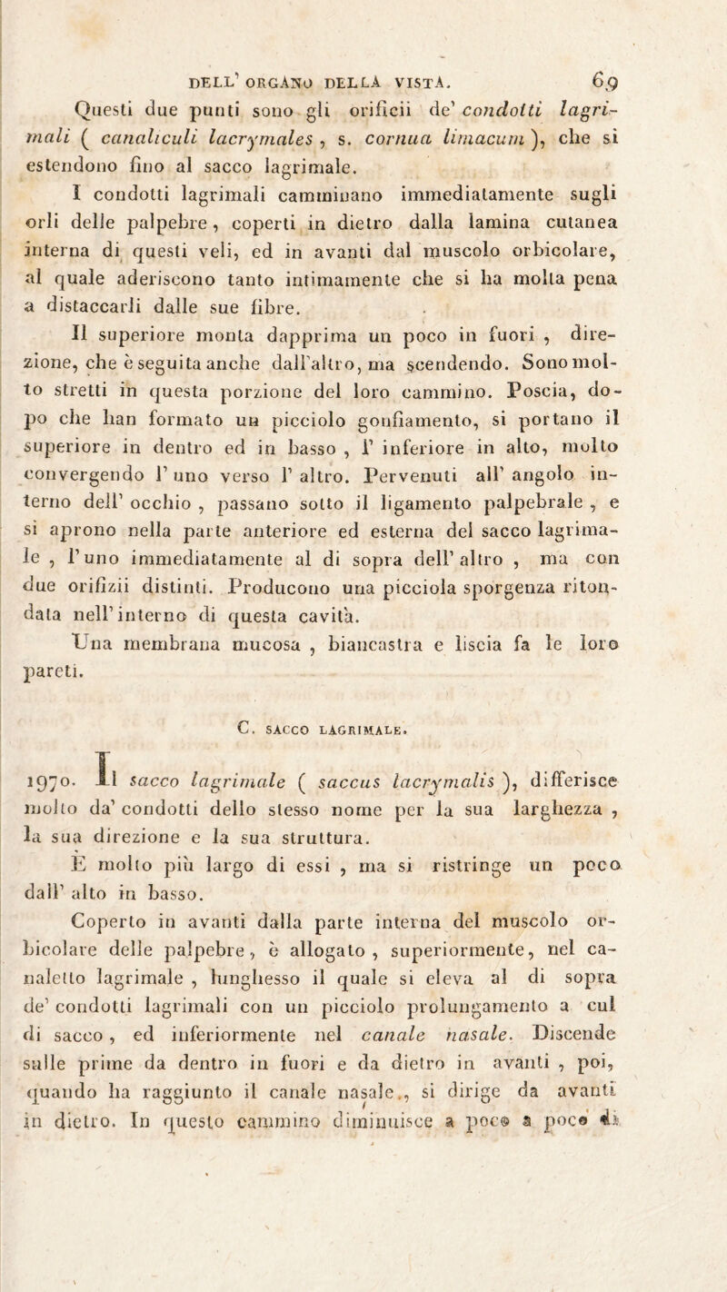 Questi due punti sono gli orificii de' condotti lacri¬ mali ( canaliculi lacrymales , s. cornila limacum ), che si estendono fino al sacco lagrimale. I condotti lagrimali camminano immediatamente sugli orli delle palpebre, coperti in dietro dalla lamina cutanea interna di questi veli, ed in avanti dal muscolo orbicolare, al quale aderiscono tanto intimamente che si ha molla pena a distaccarli dalle sue fibre. II superiore monta dapprima un poco in fuori , dire¬ zione, che è seguita anche dall'altro, ma scendendo. Sonomol- to stretti in questa porzione del loro cammino. Poscia, do¬ po che han formato un picciolo gonfiamento, si portano il superiore in dentro ed in basso , 1' inferiore in alto, molto convergendo l1 uno verso f altro. Pervenuti all' angolo in¬ terno dell’ occhio , passano sotto il ligamento palpebrale , e sì aprono nella parte anteriore ed esterna dei sacco lagrima- fé , r uno immediatamente al di sopra dell'altro , ma con due orifizii distinti. Producono una picciola sporgenza mon¬ data nell'interno di questa cavita. Una membrana mucosa , biancastra e liscia fa le loro pareti. C. SACCO lacrimale. iqyo. Il sacco lacrimale ( saccus lacrymalis ), differisce molto da’ condotti dello stesso nome per la sua larghezza , la sua direzione e la sua struttura. E molto più largo di essi , ma si ristringe un poco dall’ alto in basso. Coperto in avanti dalla parte interna del muscolo or¬ bicolare delle palpebre, è allogato, superiormente, nel ca¬ naletto lagrimale , lunghesso il quale si eleva al di sopra de' condotti lagrimali con un picciolo prolungamento a cui di sacco , ed inferiormente nel canale nasale. Discende sulle prime da dentro in fuori e da dietro in avanti , poi, quando ha raggiunto il canale nasale., si dirige da avanti in dietro. In questo cammino diminuisce a poc© a pece