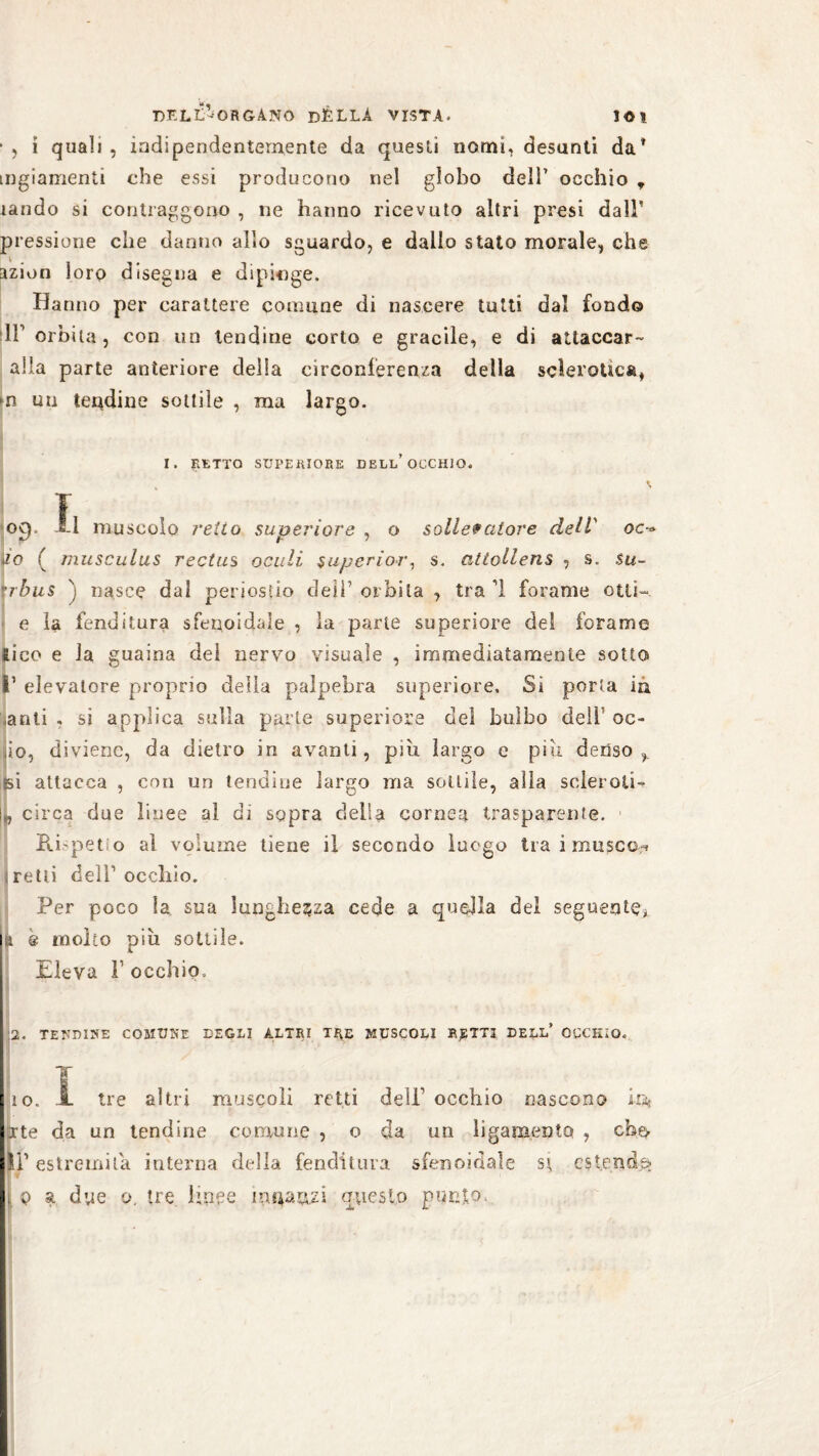 • , i quali , indipendentemente da questi nomi, desunti da* mgiamenti che essi producono nel globo dell’ occhio t landò si contraggono , ne hanno ricevuto altri presi dall’ pressione che danno alio sguardo, e dallo stato morale, che azion loro disegna e dipinge. Hanno per carattere comune di nascere tutti dal fondo IT orbila, con un lendine corto e gracile, e di attaccar- alla parte anteriore della circonferenza della sclerotica, m un tenebrie sottile , ma largo. I. RETTO SUPERIORE DELL’OCCHIO. T oc), J-l muscolo retto superiore , o sollevatore dell' oc•» pò ( musculus rectus ociili superior, s. attollens , s. su- rrbus ) nasce dal periostio cleil’ orbita , tra ’l forame otti- e la fenditura sfenoidale , la parte superiore del forame Ìico e la guaina del nervo visuale , immediatamente sotto ’ elevatore proprio della palpebra superiore. Si porta in anli . si applica sulla parte superiore del bulbo dell’ oc- Iio, diviene, da dietro in avanti, piu largo e pisi denso n attacca , con un tendine largo ma sottile, alla scleroti- IL circa due linee al di sopra della cornea trasparente. Ri pet o al volume tiene il secondo luogo tra i musco-* 1 retti dell1 occhio. Per poco la sua lunghezza cede a quella del seguente* u & inolio piu sottile. Eleva T occhio, • V . 2. TENDINE COMUNE DEGEI ALTRI TRE MUSCOLI RJ2TTI DELL’ OCCHIO. I io. i. tre altri muscoli retti dell occhio nascono io* arte da un tendine comune , o da un ligamento , che II’ estremila interna della fenditura sfenoidale ss, estende? q a due o. ire linee innaazi questo punto.