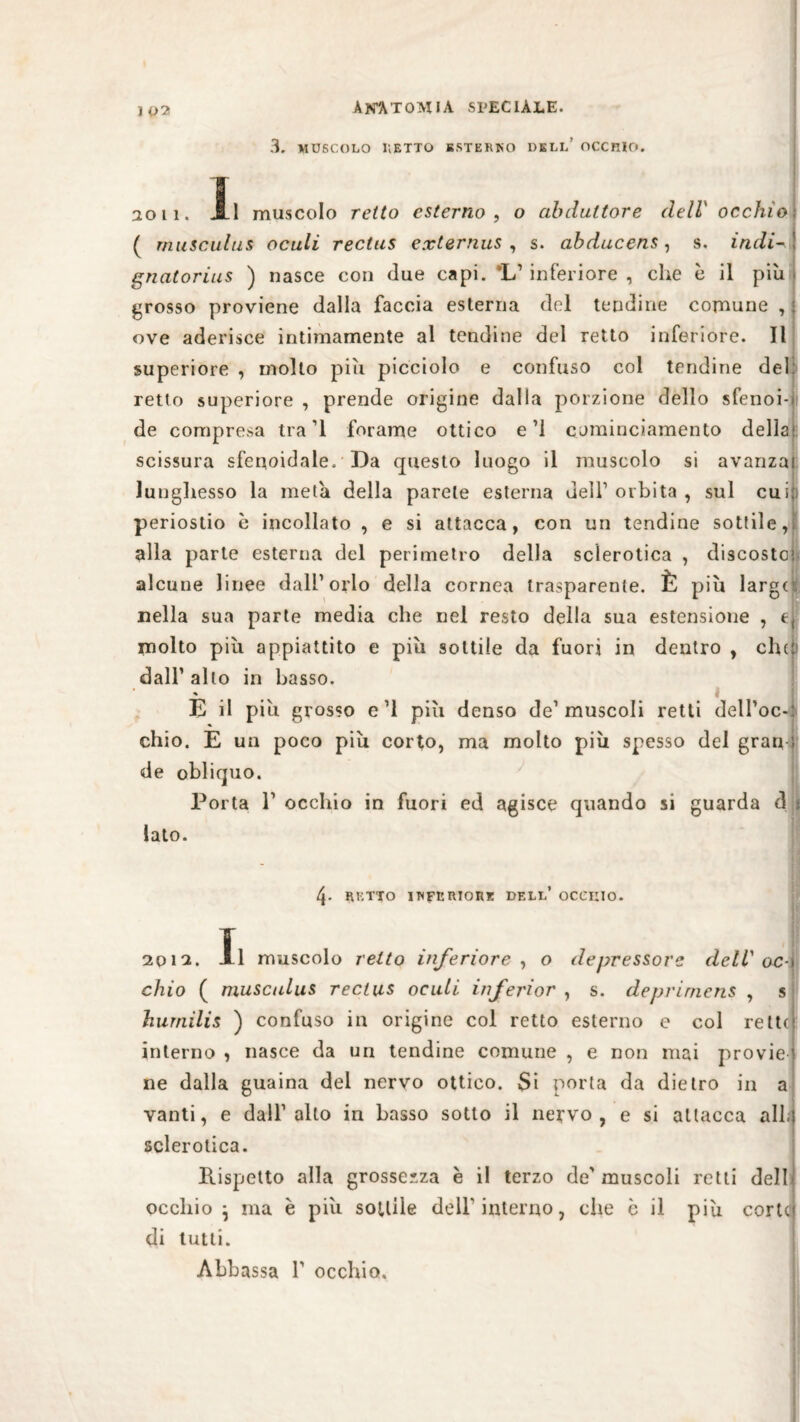 3. MUSCOLO IiETTO ESTERNO DELL’ OCCHIO. aoii. jail muscolo retto esterno , o abduttore dell' occhio ( rnusculus acuii rectus e.vternus , s. abducens , s. indi- gnatorius ) nasce con due capi. ’L’ inferiore , che è il più grosso proviene dalla faccia esterna del tendine comune , ove aderisce intimamente al tendine del retto inferiore. Il superiore , mollo più picciolo e confuso col tendine del retto superiore , prende origine dalla porzione dello sfenoi- de compresa tra 1 forame ottico e ’l caminciamento delia scissura sferoidale. Da questo luogo il muscolo si avanza lunghesso la meta della parete esterna dell’orbita, sul cui) periostio è incollato , e si attacca, con un tendine sottile, alla parte esterna del perimetro della sclerotica , discostcì alcune linee dall’orlo della cornea trasparente. È più largc nella sua parte media che nel resto della sua estensione , e molto più appiattito e più sottile da fuori in dentro , chef) dall’ allo in basso. E il più grosso e’l più denso de’muscoli retti dell’oc * «f chio. E un poco più corto, ma molto più spesso del grani de obliquo. Porta l’occhio in fuori ed agisce quando si guarda dii lato. 4- RETTO INFERIOR* DELL* OCCHIO. I 2012. 1.1 muscolo retto inferiore , o depressore cieli'ac-\ chio ( rnusculus rectus oculi inferior , s. deprimens , s hurnilis ) confuso in origine col retto esterno e col rett( interno , nasce da un tendine comune , e non mai provie ne dalla guaina del nervo ottico. Si porta da dietro in a vanti, e dall’alto in basso sotto il nervo, e si attacca all. sclerotica. Rispetto alla grossezza è il terzo de' muscoli retti dell occhio } ma è più sottile dell'interno, che è il più corte di tutti. Abbassa 1’ occhio.