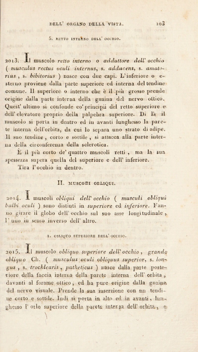 *> 5. RETTO INTERNO DELI.’ OCCHIO. 2013. Il muscolo retto interno o adduttore delV occhio ( musculus rectus acuii internus, s. adducensj s. amato- rius , s. bibitorius ) nasce con due capi. L’inferiore o e- steruo proviene dalia parte superiore ed interna del tendine comune. 11 superiore o interno che è il piu grosso prende origine dalla parte interna della guaina del nervo ottico. Quest’ultimo si confonde co'principii del retto superiore e dell’elevatore proprio della palpebra superiore. Di la il muscolo si porla in dentro ed iti avanti lunghesso la pare¬ te interna dell’orbita, da cui lo separa uno strato di adipe. 11 suo lendine , corto e sottile , si attacca alla parte inter¬ na della circonferenza della sclerotica. L il più corto de’ quattro muscoli retti , ma la sua spessezza supera quella del superiore e dell’ inferiore. Tira l’occhio in dentro. IL MUSCOSI OBLIQUI. 2014. I muscoli obliqui dell' occhio ( musculi obliqui bulbi acuii ) sono distinti in superiore ed inferiore. Fan¬ no girare il globo dell’ occhio sul suo asse longitudinale ? 11 uno in senso inverso dell’ altro. 1. OBLIQUO SUPERIORE DELL* OCCHIO. 2015. Il muscolo obliquo superiore delV occhio , grande obliquo Ch. ( ìnusculus oculi obliquus superiore s. lori- gus , s. trochlearis , patheticus ) nasce dalla parte poste¬ riore della faccia interna della parete interna dell' orbita 9 davanti al forame ottico, ed La pure origine dalla guaina del nervo visuale. Prende la sua inserzione con nn tendi¬ ne corto e sottile. Indi si porta in alto ed in avanti •> lun¬ ghesso !’ orlo superiore della parete interpi dell’ orbita, , $