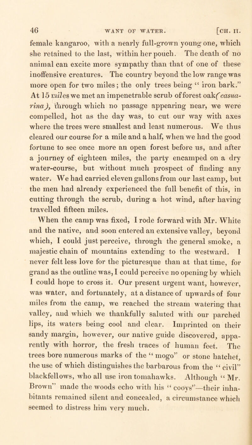 female kangaroo, with a nearly full-grown young one, which she retained to the last, within her pouch. The death of no animal can excite more sympathy than that of one of these inoffensive creatures. The country beyond the low range was more open for two miles; the only trees being “ iron bark.” At 15 mi2es we met an impenetrable scrub of forest oakf' casua- rinaJ, tYirough which no passage appearing near, we were compelled, hot as the day was, to cut our way with axes where the trees were smallest and least numerous. We thus cleared our course for a mile and a half, when we had the good fortune to see once more an open forest before us, and after a journey of eighteen miles, the party encamped on a dry water-course, but without much prospect of finding any water. We had carried eleven gallons from our last camp, but the men had already experienced the full benefit of this, in cutting through the scrub, during a hot wind, after having travelled fifteen miles. When the camp was fixed, I rode forward with Mr. White and the native, and soon entered an extensive valley, beyond which, I could just perceive, through the general smoke, a majestic chain of mountains extending to the westward. I never felt less love for the picturesque than at that time, for grand as the outline was, I could perceive no opening by which I could hope to cross it. Our present urgent want, however, was water, and fortunately, at a distance of upwards of four miles from the camp, we reached the stream watering that valley, and which we thankfully saluted with our parclied lips, its waters being cool and clear. Imprinted on their sandy margin, however, our native guide discovered, appa¬ rently with horror, the fresh traces of human feet. The trees bore numerous marks of the “ mogo” or stone hatchet, the use of which distinguishes the barbarous from the “ civil” blackfellows, who all use iron tomahawks. Although “ Mr. Bi •own” made the woods echo with his ‘‘ cooys”—their inha¬ bitants remained silent and concealed, a circumstance which seemed to distress him very much.