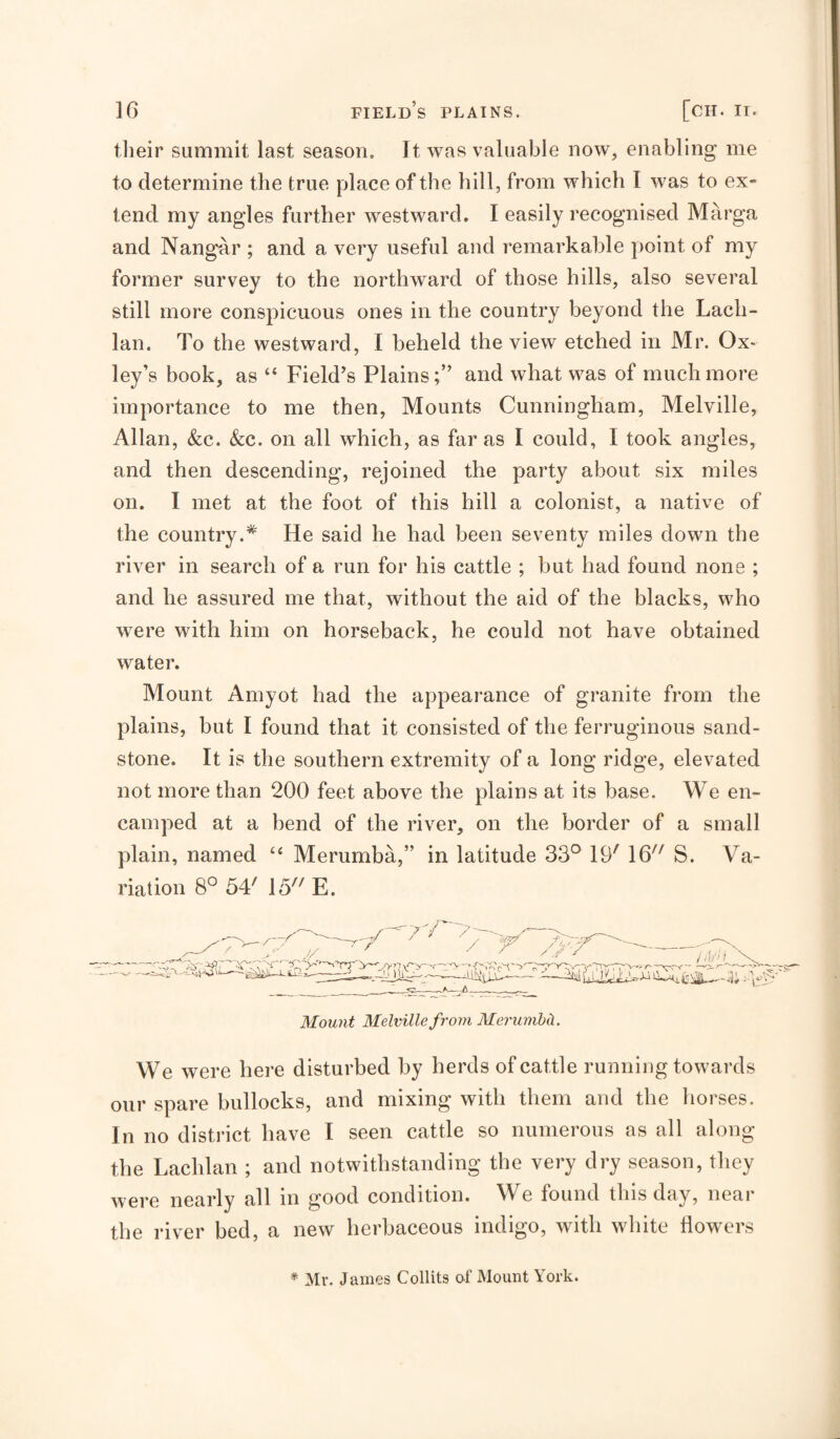 their summit last season. It was valuable now, enabling me to determine the true place of the hill, from which I was to ex¬ tend my angles further westward, I easily recognised Marga and Nangar ; and a very useful and remarkable point of my former survey to the northward of those hills, also several still more conspicuous ones in the country beyond the Lach¬ lan. To the westward, I beheld the view etched in Mr. Ox* ley’s book, as “ Field’s Plains;” and what was of much more importance to me then, Mounts Cunningham, Melville, Allan, (fee. (fee. on all which, as far as I could, I took angles, and then descending, rejoined the party about six miles on. I met at the foot of this hill a colonist, a native of the country.* He said he had been seventy miles down the river in search of a run for his cattle ; but had found none ; and he assured me that, without the aid of the blacks, who were with him on horseback, he could not have obtained water. Mount Amyot had the appearance of granite from the plains, but I found that it consisted of the ferruginous sand¬ stone. It is the southern extremity of a long ridge, elevated not more than 200 feet above the plains at its base. We en¬ camped at a bend of the river, on the border of a small plain, named ‘‘ Merumba,” in latitude 33° 19' 16^' S. Va¬ riation 8° 54' 15 E. Mount Melville from MerumM. We were here disturbed by herds of cattle running towards our spare bullocks, and mixing with them and the horses. In no district have I seen cattle so numerous as all along the Lachlan ; and notwithstanding the very dry season, they were nearly all in good condition. We found this day, near the river bed, a new herbaceous indigo, with white flowers * Mr. James Collits of Mount York.