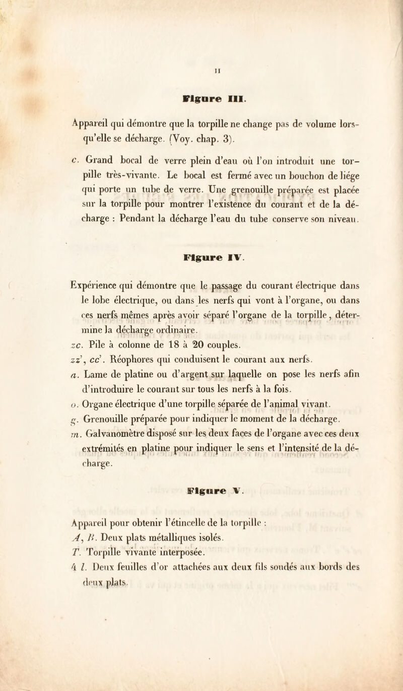 Vlgare 111. Appareil qui démontre que la torpille ne change pas de volume lors¬ qu’elle se décharge. fVoy. chap. 3). c. Grand bocal de verre plein d’eau où l’on introduit une tor¬ pille très-vivante. Le bocal est fermé avec un bouchon de liège qui porte un tube de verre. Une grenouille préparée est placée sur la torpille pour montrer l’existence du courant et de la dé¬ charge : Pendant la décharge l’eau du tube conserve son niveau. Figure IV. Expérience qui démontre que le passage du courant électrique dans le lobe électrique, ou dans les nerfs qui vont à l’organe, ou dans ces nerfs mêmes après avoir séparé l’organe de la torpille, déter¬ mine la décharge ordinaire. zc. Pile à colonne de 18 à 20 couples. zz\ cc . Réophores qui conduisent le courant aux nerfs. a. Lame de platine ou d’argent sur laquelle on pose les nerfs afin d’introduire le courant sur tous les nerfs à la fois. O. Organe électrique d’une torpille séparée de l’animal vivant. q. Grenouille préparée pour indiquer le moment de la décharge, rn. Galvanomètre disposé sur les deux faces de l’organe avec ces deux extrémités en platine pour indiquer le sens et l’intensité de la dé¬ charge. Figure V. Appareil pour obtenir l’étincelle de la torpille ; />'. Deux plats métalliques isolés. T. Torpille vivante interposée. A l. Deux feuilles d’or attachées aux deux fils soudés aux bords des deux plats