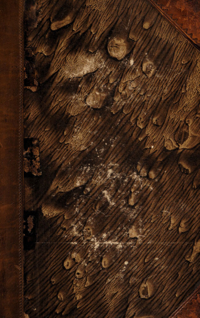 No text description is available for this image