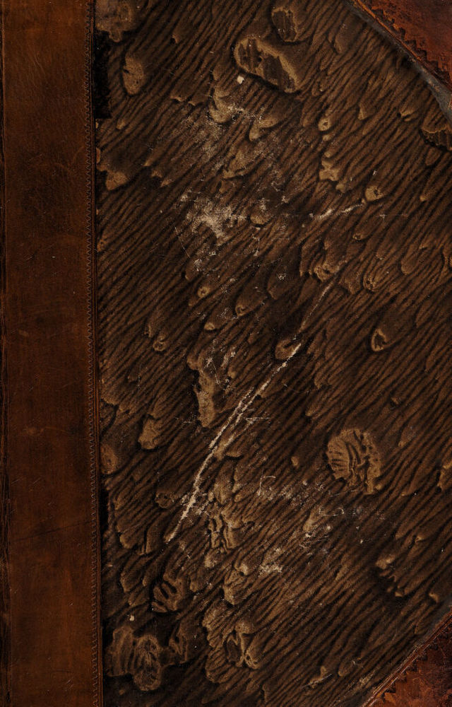 digitised image 1