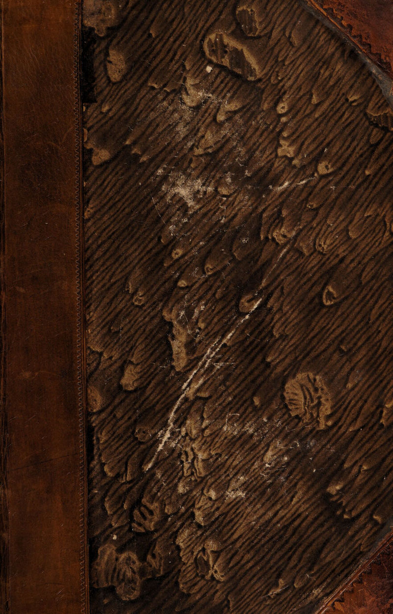 , ✓s ,à/va/\ .y» /' /•./' A/> A /\ a/' /> /\/'/' A A /'