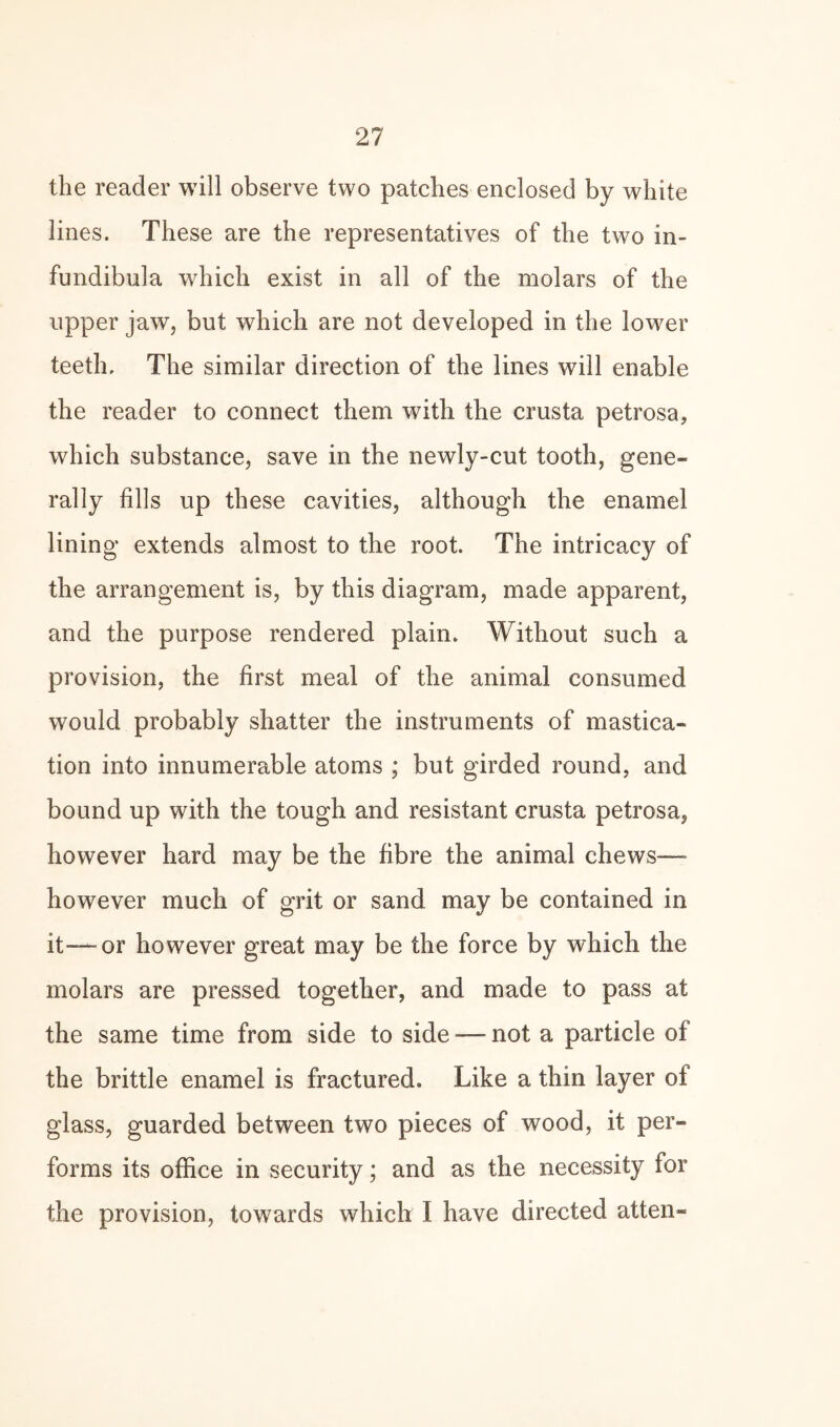 the reader will observe two patches enclosed by white lines. These are the representatives of the two in¬ fundibula which exist in all of the molars of the upper jaw, but which are not developed in the lower teeth. The similar direction of the lines will enable the reader to connect them with the crusta petrosa, which substance, save in the newly-cut tooth, gene¬ rally fills up these cavities, although the enamel lining extends almost to the root. The intricacy of the arrangement is, by this diagram, made apparent, and the purpose rendered plain. Without such a provision, the first meal of the animal consumed would probably shatter the instruments of mastica¬ tion into innumerable atoms ; but girded round, and bound up with the tough and resistant crusta petrosa, however hard may be the fibre the animal chews—- however much of grit or sand may be contained in it—or however great may be the force by which the molars are pressed together, and made to pass at the same time from side to side — not a particle of the brittle enamel is fractured. Like a thin layer of glass, guarded between two pieces of wood, it per¬ forms its office in security; and as the necessity for the provision, towards which I have directed atten-