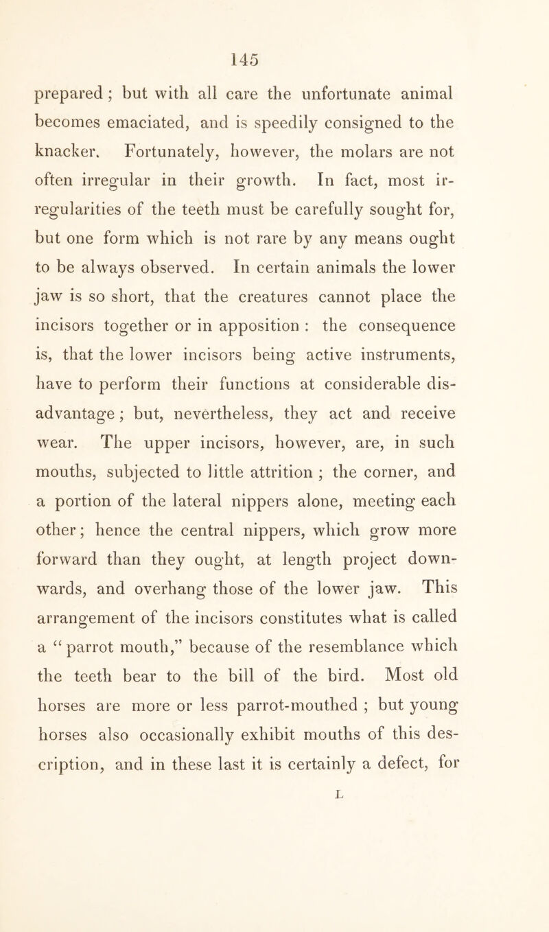 prepared ; but with all care the unfortunate animal becomes emaciated, and is speedily consigned to the knacker. Fortunately, however, the molars are not often irregular in their growth. In fact, most ir¬ regularities of the teeth must be carefully sought for, but one form which is not rare by any means ought to be always observed. In certain animals the lower jaw is so short, that the creatures cannot place the incisors together or in apposition : the consequence is, that the lower incisors being active instruments, have to perform their functions at considerable dis¬ advantage ; but, nevertheless, they act and receive wear. The upper incisors, however, are, in such mouths, subjected to little attrition ; the corner, and a portion of the lateral nippers alone, meeting each other; hence the central nippers, which grow more forward than they ought, at length project down¬ wards, and overhang those of the lower jaw. This arrangement of the incisors constitutes what is called a “ parrot mouth,” because of the resemblance which the teeth bear to the bill of the bird. Most old horses are more or less parrot-mouthed ; but young horses also occasionally exhibit mouths of this des¬ cription, and in these last it is certainly a defect, for L