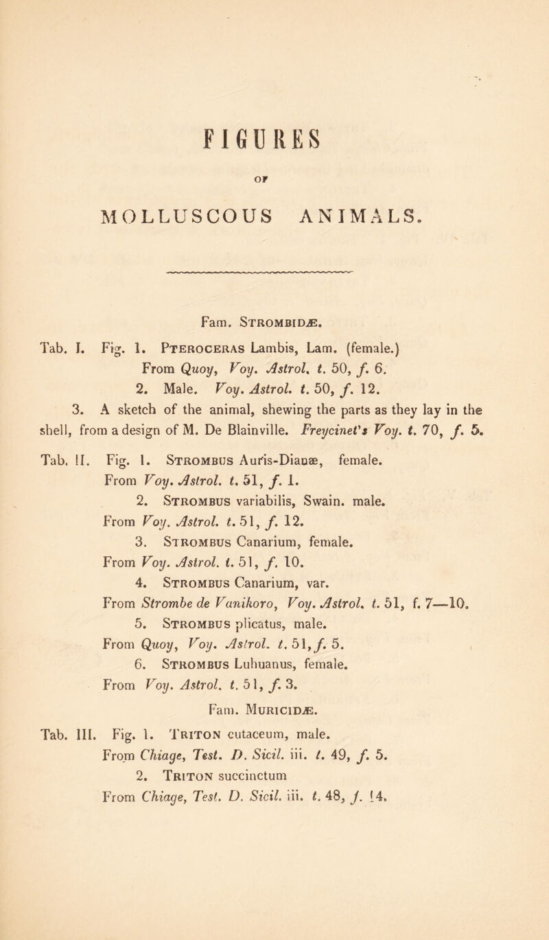 FIGURES OF MOLLUSCOUS ANIMALS. Fail). STROMBIDiE* Tab. I. Fig. 1. Pteroceras Lambis, Lam. (female.) From Qwoy, Voy. Astrol. t. 50, f. 6. 2. Male. Voy.Astrol. t. 50, f. 12. 3. A sketch of the animal, shewing the parts as they lay in the shell, from a design of M. De Blainville. FreycineCs Voy. t. 70, f. 5„ Tab. II. Fig. 1. Strombus Aur'is-Diauae, female. From Voy. Astrol. t. 51, f. 1. 2. Strombus variabilis, Swain, male. From Voy. Astrol. £.51, f. 12. 3. Strombus Canarium, female. From Voy. Astrol. £.51, f. 10. 4. Strombus Canarium, var. From Strombe de Vanikoro, Voy. AstroL t. 51, f. 7—10. 5. Strombus piicatus, male. From Qwoy, Voy. Astrol. t. 51, f. 5. 6. Strombus Luhuanus, female. From Voy. Astrol. t. 51, f. 3. Fam. MuricidjE. Tab. III. Fig. 1. Triton cutaceum, male. From Chiage, Test. D. Sicil. iii. t. 49, f. 5. 2. Triton succinctum