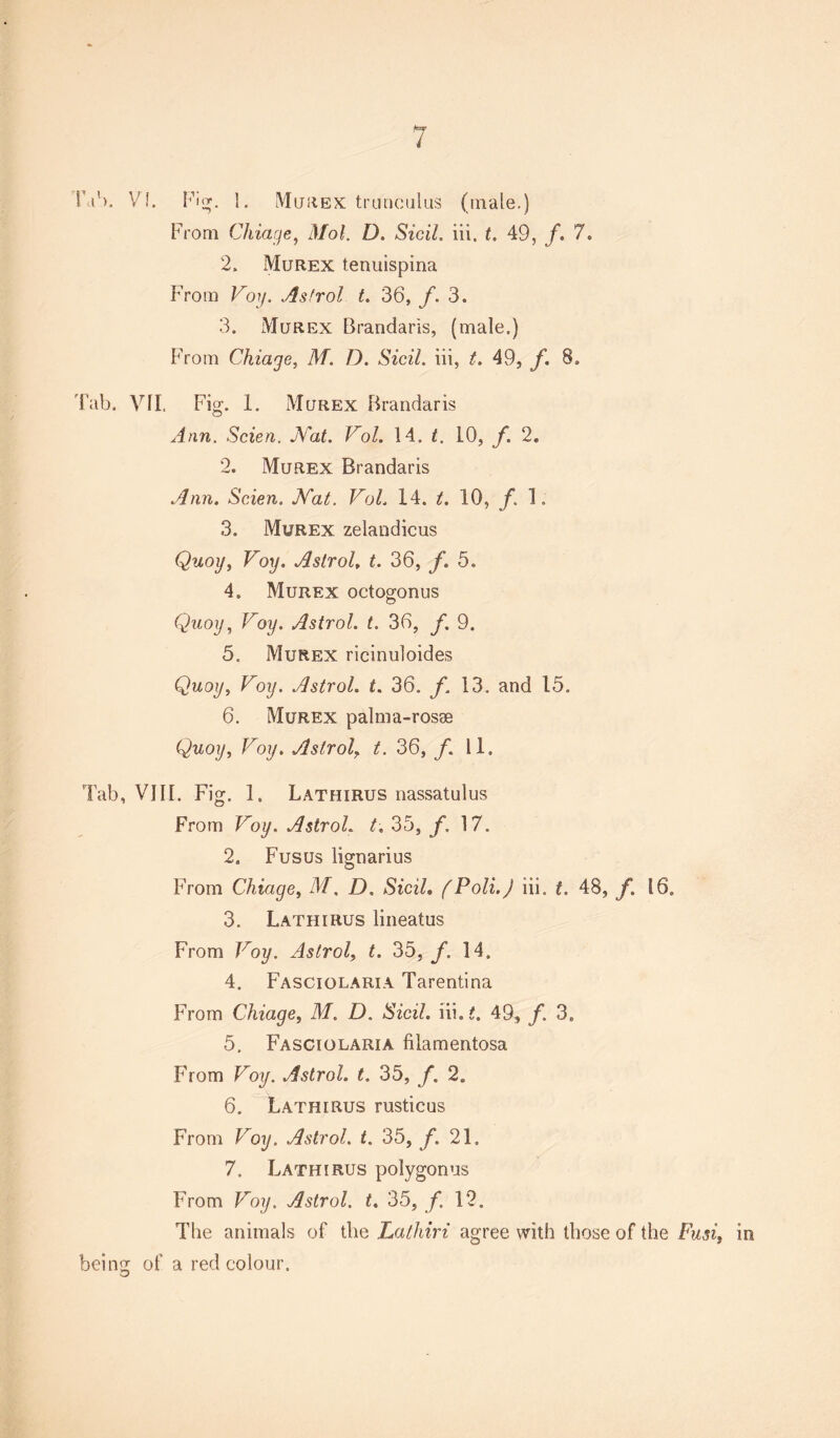Prom Chiage, Mol. D. Sicil. iii. t. 49, f. 7. 2. Murex tenuispina From Voy. Astrol t. 36, f. 3. 3. Murex Brandans, (male.) From Chiage, M. D. Sicil. iii, t. 49, f. 8. dab. VII. Fig. I. Murex Brandaris Ann. Scien. Nat. Vol. 14. t. LO, f. 2. 2. Murex Brandaris Ann. Scien. Nat. Vol. 14. t. 10, f. 1. 3. Murex zelandicus Quoy, Voy. Astrol. t. 36, f. 5, 4. Murex octogonus Quoy, Voy. Astrol. t. 36, f. 9. 5. Murex ricinuloides Quoy, Voy. Astrol. t. 36. f. 13. and 15. 6. Murex palma-rosse Quoy, Voy. Astrol, /. 36, /. 11, Tab, VIII. Fig. 1, Lathirus nassatulus From Voy. Astrol. t. 35, f. 17. 2. Fusus lignarius From Chiage, 4/, D. Sicil. fPoli.J iii, t. 48, f. 16. 3. Lathirus lineatus From Voy. Astrol, t. 35, f. 14, 4. Fasciolaria Tarentina From Chiage, M. D. $z’cz/. iii. 49, /. 3. 5. Fasciolaria filamentosa From Foy. Astrol. t. 35, /. 2. 6. Lathirus rustic as From For/. Astrol. t. 35, /, 21. 7. Lathirus polygonus From Foy. Astrol. t. 35, /*. 12. The animals of the Lathiri agree with those of the Fusi, being of a red colour.