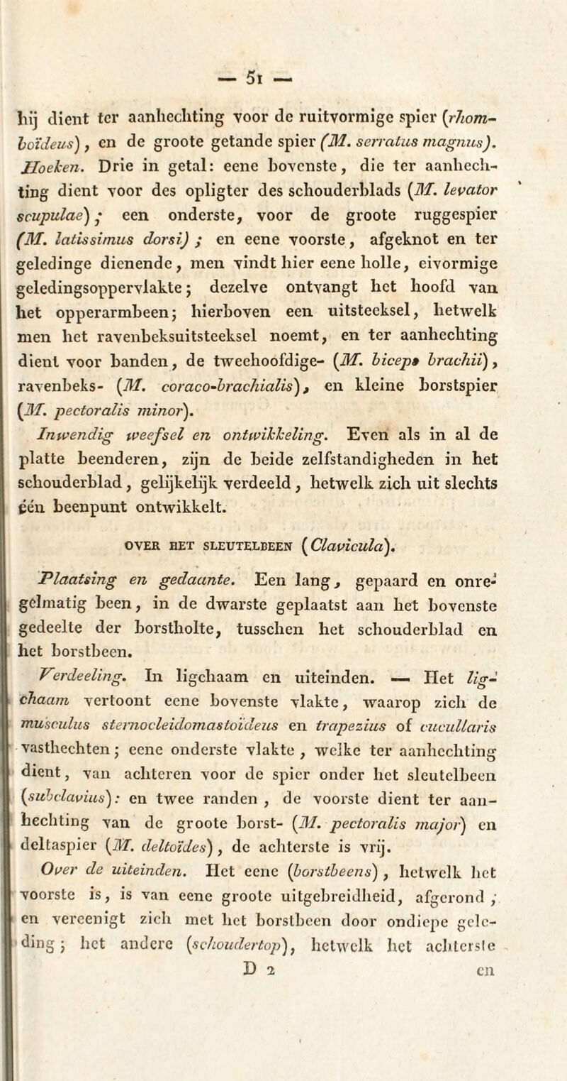 hij dient ter aanhechting voor de ruitvormige spier (rhom- boïdeus), cn de groote getande spier (M. serratus magiius). Hoeken. Drie in getal: eene bovenste, die ter aanhech¬ ting dient voor des opligter des schouderblads (Mlevator scupulae) ‘ een onderste, voor de groote ruggespier (M. latissimus dorsi) ; en eene voorste, afgeknot en ter geledinge dienende, men vindt hier eene holle, eivormige geledingsoppervlakte ; dezelve ontvangt het hoofd van het oppei’armbeen; hierboven een uitsteeksel, hetwelk men het ravenbeksuitsteeksel noemt, en ter aanhechting dient voor banden, de tweehoofdige- [M. bicep» brachii), ravenbeks- {M. coraco-brachialis), en kleine boi’stspier [M. pectoralis minor'). Inwendig weefsel en ontwikkeling. Even als in al de platte beenderen, zijn de beide zelfstandigheden in het schouderblad, gelijkelijk verdeeld , hetwelk zich uit slechts één beenpunt ontwikkelt. over het sleutelbeen (Clavicula). Plaatsing en gedaante. Een lang, gepaard en onre¬ gelmatig been, in de dwarste geplaatst aan het bovenste gedeelte der borstholte, tusschen het schouderblad cn het borstbeen. Verdeeling. In ligchaam en uiteinden. — Het lig- chaam vertoont eene bovenste vlakte, waarop zich de musculus sternocleidomastoïdeus en trapezius of cucullaris vasthechten; eene onderste vlakte, welke ter aanhechting dient, van achteren voor de spier onder liet sleutelbeen [subclavius): en twee randen , de voorste dient ter aan¬ hechting van de groote borst- {M. pectoralis major) en dcltaspier (ÆT. deltoïdes) , de achterste is vrij. Over de uiteinden. Het eene (borstbeens) , hetwelk liet voorste is, is van eene groote uitgebreidheid, afgerond; 1 en vercenigt zich met het borstbeen door ondiepe gclc- I ding > het andere (schoudertop), hetwelk het achterste