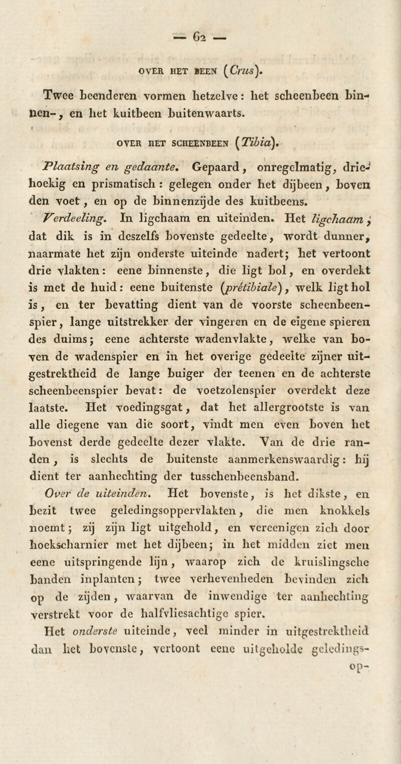 OVER HET BEEN (Ozzs). Twee beenderen vormen hetzelve : het scheenbeen bin¬ nen-, en het kuitbeen buitenwaarts. OVER HET SCHEENBEEN (Tibia). Plaatsing en gedaante. Gepaard , onregelmatig, drie¬ hoekig en prismatisch : gelegen onder het dijbeen, boven den voet, en op de binnenzijde des kuitbeens. Verdeeling. In ligchaam en uiteinden. Het ligchaam, dat dik is in dcszelfs bovenste gedeelte, wordt dunner, naarmate het zijn onderste uiteinde nadert; het vertoont drie vlakten : eene binnenste, die ligt bol, en overdekt is met de huid : eene buitenste (-prétibiale) , welk ligt hol is, en ter bevatting dient van de voorste scheenbeen¬ spier, lange uitstrekker der vingeren en de eigene spieren des duims ; eene achterste wadcnvlakte, welke van bo¬ ven de wadenspier en in het overige gedeelte zijner uit¬ gestrektheid de lange buiger der teenen en de achterste scheenbeenspier bevat: de voetzolenspier overdekt deze laatste. Het voedingsgat, dat het allergrootste is van alle diegene van die soort, vindt men even boven het bovenst derde gedeelte dezer vlakte. Van de drie ran¬ den , is slechts de buitenste aanmerkenswaardig : hij dient ter aanhechting der tusschcnbeensband. Over de uiteinden. Het bovenste, is liet dikste, en bezit twee geledingsoppervlaktcn, die men knokkels noemt; zij zijn ligt uitgehold, en vercenigcn zich door hoekscharnier met het dijbeen; in het midden ziet men eene uitspringende lijn, waarop zich de kruislingsche banden inplanten ; twee verhevenheden bevinden zich op de zijden, waarvan de inwendige ter aanhechting verstrekt voor de halfvliesachtigo spier. Tiet onderste uiteinde, veel minder in uitgestrektheid dan liet bovenste, vertoont eene uitgeholde geledings- op-