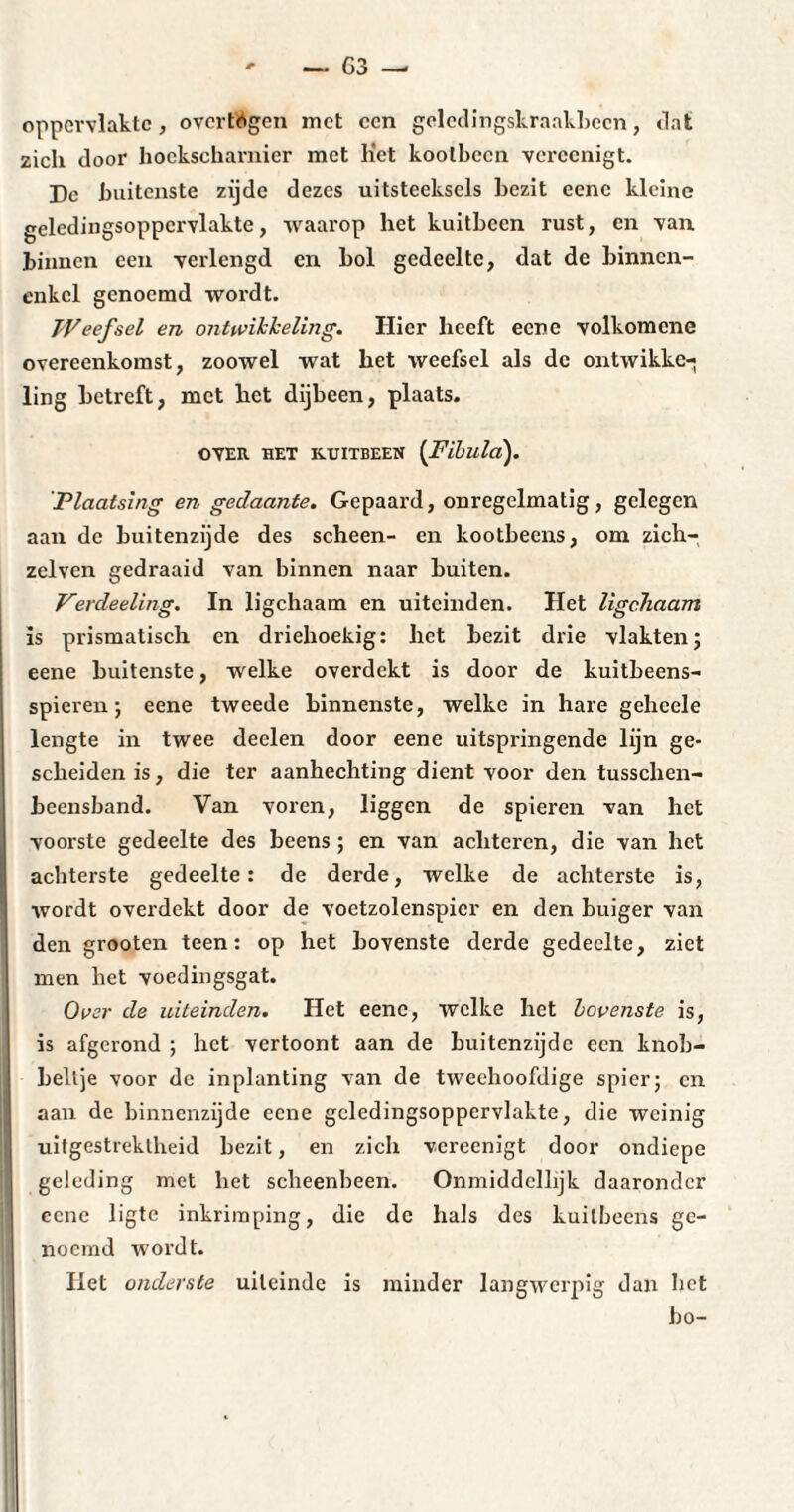 oppervlakte, overigen met een geledingskraakbecn, dat zich door hockscharnier met Het koolbeen vcrccnigt. De buitenste zijde dezes uitsteeksels bezit eene kleine geledingsoppcrvlakte, waarop het kuitbeen rust, en van binnen een verlengd cn hol gedeelte, dat de binnen- enkcl genoemd wordt. Weefsel en ontwikkeling. Hier heeft eene volkomene overeenkomst, zoowel wat het weefsel als de ontwikke¬ ling betreft, met het dijbeen, plaats. OVER. HET KUITBEEN (Fibula). 'Plaatsing en gedaante. Gepaard, onregelmatig, gelegen aan de buitenzijde des scheen- en kootbeens, om zich- zelven gedraaid van binnen naar buiten. Verdeeling. In ligchaam en uiteinden. Het ligchaam is prismatisch en driehoekig: het bezit drie vlakten; eene buitenste, welke overdekt is door de kuitbeens- spieren ; eene tweede binnenste, welke in hare gehccle lengte in twee deelen door eene uitspringende lijn ge¬ scheiden is, die ter aanhechting dient voor den tusschen- beensband. Van voren, liggen de spieren van het voorste gedeelte des beens ; en van achteren, die van het achterste gedeelte: de derde, welke de achterste is, wordt overdekt door de voetzolenspier en den buiger van den grooten teen: op het bovenste derde gedeelte, ziet men het voedingsgat. Over de uiteinden. Het eene, welke het bovenste is, is afgerond ; liet vertoont aan de buitenzijde een knob¬ beltje voor de inplanting van de tweehoofdige spier; cn aan de binnenzijde eene gcledingsoppervlakte, die weinig uitgestrektheid bezit, en zich vereenigt door ondiepe geleding met het scheenbeen. Onmiddclhjk daaronder eene 1 igte inkrimping, die de hals des kuitbeens ge¬ noemd wordt. liet onderste uiteinde is minder langwerpig dan het bo-