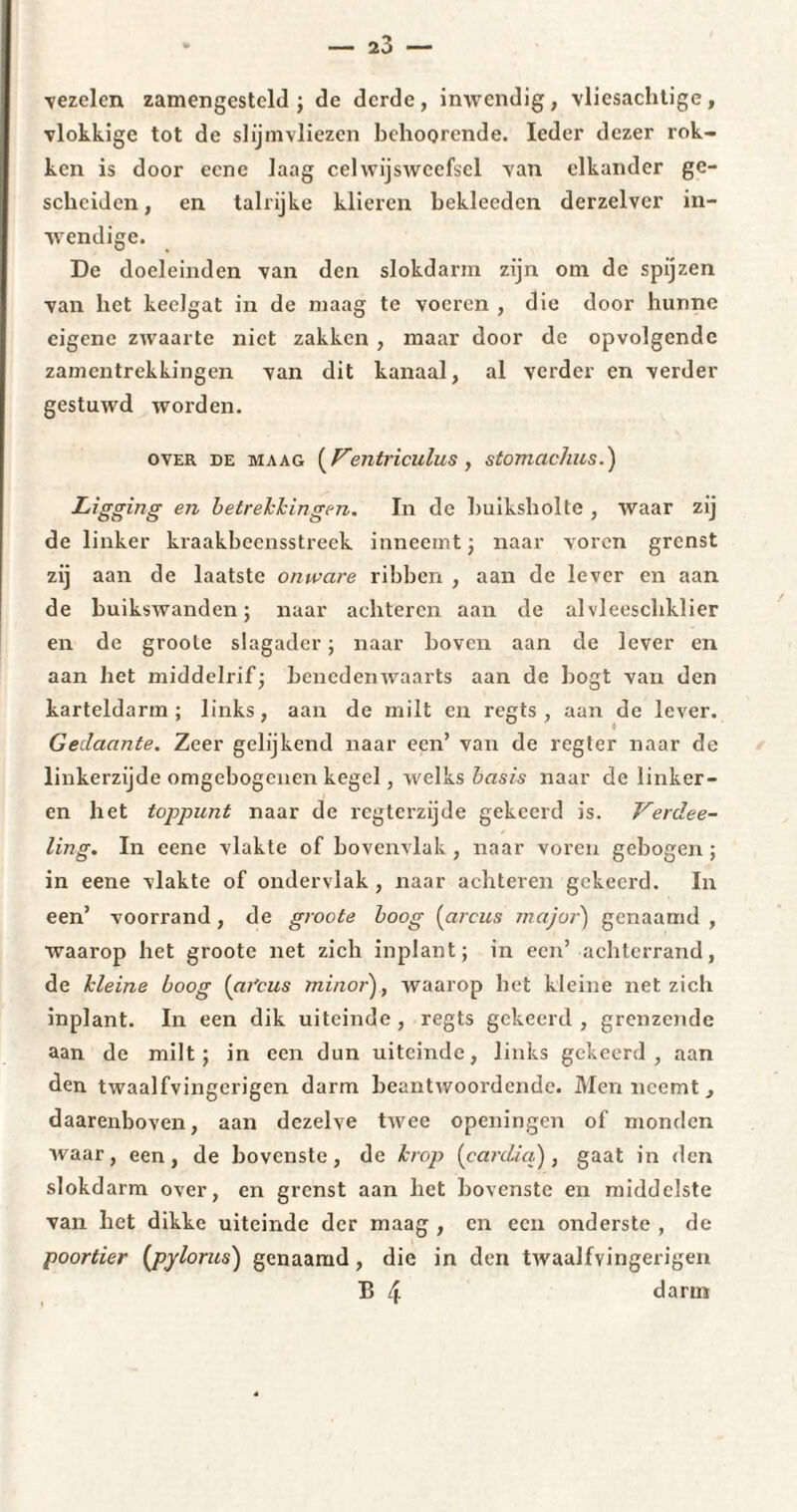 vezelen zamengestcld ; de derde , inwendig , vlicsachtige , vlokkige tot de slijmvliezen behoorende. Ieder dezer rok¬ ken is door ecne laag celwijsweefscl van elkander ge¬ scheiden , en talrijke klieren bekleedcn derzelver in¬ wendige. De doeleinden van den slokdarm zijn om de spijzen van liet keelgat in de maag te voeren , die door hunne eigene zwaarte niet zakken , maar door de opvolgende zamentrekkingen van dit kanaal, al verder en verder gestuwd worden. over de maag [F'entriculus , stomachus.) Ligging en betrekkingen. In de buiksholte , waar zij de linker kraakbecnsstreck inneemt ; naar voren grenst zij aan de laatste onware ribben , aan de lever en aan de buikswanden ; naar achteren aan de al vleescliklier en de groole slagader; naar boven aan de lever en aan het middelrif; benedenwaarts aan de bogt van den karteldarm; links, aan de milt en regts , aan de lever. Gedaante. Zeer gelijkend naar een’ van de regter naar de linkerzijde omgebogenen kegel, welks basis naar de linker - en het toppunt naar de regterzijde gekeerd is. Verdee- ling. In eene vlakte of bovenvlak, naar voren gebogen ; in eene vlakte of ondervlak, naar achteren gekeerd. In een’ voorrand , de groote boog (arcus major) genaamd , waarop het groote net zich inplant; in een’ achterrand, de kleine boog (at'cus minor) , waarop het kleine net zich inplant. In een dik uiteinde, regts gekeerd, grenzende aan de milt; in een dun uiteinde, links gekeerd, aan den twaalfvingerigen darm beantwoordende. Men neemt, daarenboven, aan dezelve twee openingen of monden waar, een, de bovenste, de krop [cardia), gaat in den slokdarm over, en grenst aan het bovenste en middelste van het dikke uiteinde der maag , en een onderste , de poortier (pylorus) genaamd, die in den twaalfvingerigen B 4 darm