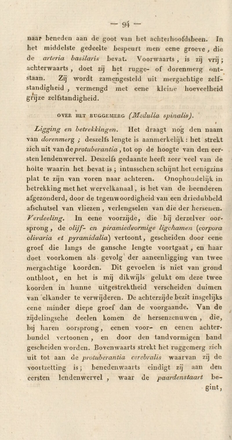 naar beneden aan de goot van liet achteihoofdsbeen. In het middelste gedeelte bespeurt men eene groeve, die de arteria bas Maris bevat. Voorwaarts , is zij vrij j achterwaarts , doet zij het rugge- of dorenmerg ont- • staan. Zij wordt zamengesteld uit mergachtige zelf¬ standigheid , vermengd met eene kleine hoeveelheid grijze zelfstandigheid. % OVER HET RTXGGEMERG (Müllulia SJjinalisJ. Ligging en betrekkingen. Het draagt nog den naam van dorenmerg ; deszelfs lengte is aanmerkelijk: het strekt zich uit van deprotuberantia , tot op de hoogte van den eer¬ sten lendenwervel. Deszelfs gedaante heeft zeer veel van de holte waarin het bevat is ; intusschen schijnt het eenigzins plat te zijn van voren naar achteren. Onophoudelijk in betrekking met het wervelkanaal, is bet van de beenderen afgezonderd, door de tegenwoordigheid van een driedubbeld afschutsel van vliezen, verlengselen van die der hersenen. Verdeeling. In eene voorzijde, die bij derzclver oor¬ sprong , de olijf- cn piramiedvormige ligchamen (corpora olivaria et pyramidalia) vertoont, gescheiden door eene groef die langs de gansche lengte voortgaat , en haar doet voorkomen als gevolg der aaneenligging van twee mergachtige koorden. Dit gevoelen is niet van grond ontbloot, en het is mij dikwijls gelukt om deze twee koorden in hunne uitgestrektheid verscheiden duimen van elkander te verwijderen. De achterzijde bezit insgelijks eene minder diepe groef dan de voorgaande. Van de zijdelingsclie deelen komen de hersenzenuwen , die, bij haren oorsprong, eenen voor- en eenen achter* bundel vertoonen , en door den landvormigen band gescheiden worden. Bovenwaarts strekt het ruggemerg zich uit tot aan de proluberantia csrebralis waarvan zij dc vooitzctting is 3 benedenwaarts eindigt zij aan den eersten lcndcnwcrvel , waar dc paardenstaart be- gint,