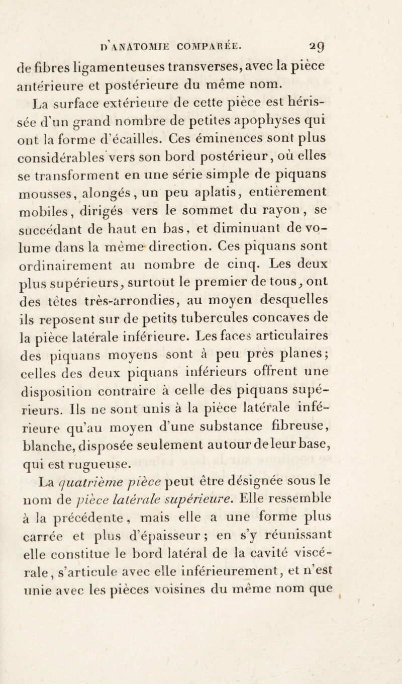 de fibres ligamenteuses transverses, avec la pièce antérieure et postérieure du meme nom. La surface extérieure de cette pièce est héris¬ sée d’un grand nombre de petites apophyses qui ont la forme d écailles. Ces éminences sont plus considérables vers son bord postérieur, où elles se transforment en une série simple de piquans mousses, alongés,un peu aplatis, entièrement mobiles, dirigés vers le sommet du rayon, se succédant de haut en bas, et diminuant de vo¬ lume dans la même direction. Ces piquans sont ordinairement au nombre de cinq. Les deux plus supérieurs, surtout le premier de tous, ont des têtes très-arrondies, au moyen desquelles ils reposent sur de petits tubercules concaves de la pièce latérale inférieure. Les faces articulaires des piquans moyens sont à peu près planes; celles des deux piquans inférieurs offrent une disposition contraire à celle des piquans supé¬ rieurs. Ils ne sont unis a la pièce latérale infé¬ rieure qu’au moyen d’une substance fibreuse, blanche, disposée seulement autour de leur base, qui est rugueuse. La quatrième pièce peut etre désignée sous le nom de pièce latérale supérieure. Elle ressemble à la précédente, mais elle a une forme plus carrée et plus d’épaisseur ; en s’y réunissant elle constitue le bord latéral de la cavité viscé¬ rale, s’articule avec elle inférieurement, et n’est unie avec les pièces voisines du même nom que