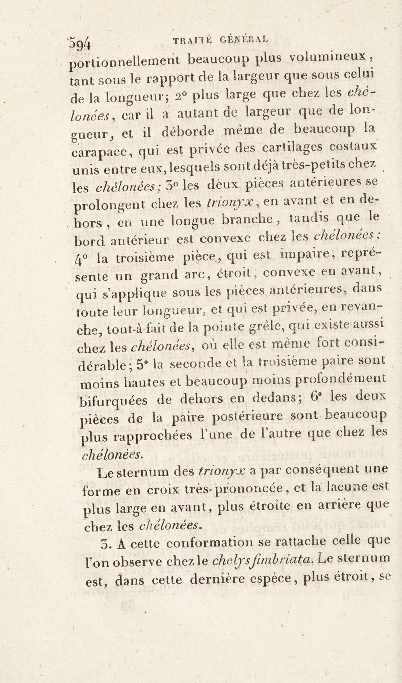 portionnellemerit beaucoup plus volumineux , tant sous le rapport de la largeur que sous celui de la longueur; 2° plus large que chez les ché- lonées, car il a autant de largeur que de lon¬ gueur, et il déborde même de beaucoup la carapace, qui est privée des cartilages costaux unis entre eux, lesquels sont déjà très-petits chez les chélonées; 5° les deux pièces antérieures se prolongent chez les trionyx, en avant et en de¬ hors , en une longue branche, tandis que le bord antérieur est convexe chez ses chélonées, 4° la troisième pièce, qui est impaire, repré¬ sente un grand arc, étroit; convexe en avant, qui s’applique sous les pièces antérieures, clans toute leur longueur, et qui est privée, en revan¬ che, tout-à-fait de la pointe grêle, qui existe aussi chez les chélonées, où elle est meme fort consi¬ dérable; 5° la seconde et la troisième paire sont moins hautes et beaucoup moins profondément bifurquées de dehors en dedans; 6° les deux pièces de la paire postérieure sont beaucoup plus rapprochées rune de l'autre que chez les chélonées. Le sternum des trionyx a par conséquent une forme en croix très-prononcée, et la lacune est plus large en avant, plus étroite en arrière que chez les chelonèes. 5. A cette conformation se rattache celle que l’on observe chez le chelysfimbriata. Le sternum est, dans cette dernière espèce, plus étroit, se