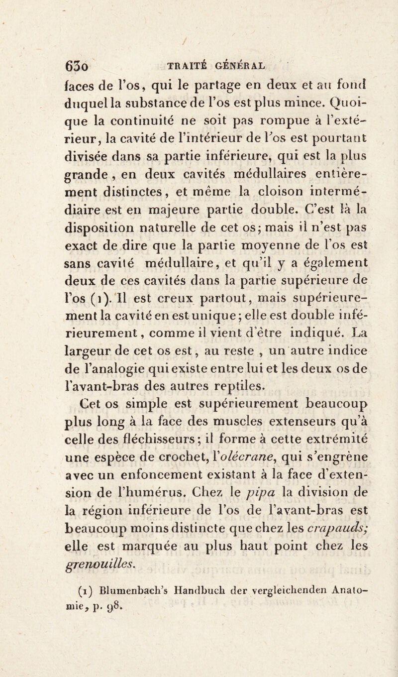 faces de l’os, qui le partage en deux et au fond duquel la substance de l’os est plus mince. Quoi¬ que la continuité ne soit pas rompue à l’exté¬ rieur, la cavité de l’intérieur de Los est pourtant divisée dans sa partie inférieure, qui est la plus grande , en deux cavités médullaires entière¬ ment distinctes, et même la cloison intermé¬ diaire est en majeure partie double. C’est là la disposition naturelle de cet os; mais il n’est pas exact de dire que la partie moyenne de l’os est sans cavité médullaire, et qu’il y a également deux de ces cavités dans la partie supérieure de Fos (i). Il est creux partout, mais supérieure¬ ment la cavité en est unique ; elle est double infé¬ rieurement , comme il vient d’être indiqué. La largeur de cet os est, au reste , un autre indice de l’analogie qui existe entre lui et les deux os de l’avant-bras des autres reptiles. Cet os simple est supérieurement beaucoup plus long à la face des muscles extenseurs qu’à celle des fléchisseurs; il forme à cette extrémité une espèce de crochet, Xolécrane, qui s’engrène avec un enfoncement existant à la face d’exten¬ sion de l’humérus. Chez le pipa la division de la région inférieure de l’os de l’avant-bras est beaucoup moins distincte que chez les crapauds; elle est marquée au plus haut point chez les (i) Blumenbach’s Handbuch der vergleichenden Ànalo- ii i i e ^ p. 9 8 . grenouilles