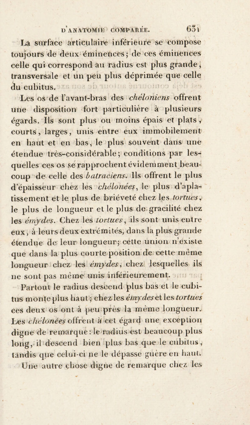 La surface articulaire inférieure se compose toujours de deux éminences; de ces éminences celle qui correspond au radius est plus grande, transversale et un peu plus déprimée que celle du cubitus. Les os de l’avant-bras des chéloniens offrent une disposition fort particulière à plusieurs égards. Ils sont plus ou moins épais et plats , courts, larges, unis entre eux immobilement en haut et en bas, le plus souvent dans une étendue très-considérable; conditions par les¬ quelles ces os se rapprochent évidemment beau¬ coup de celle des batraciens. Ils offrent le plus d’épaisseur chez les chélonées, le plus d’apla¬ tissement et le plus de brièveté chez les tortues, le plus de longueur et le plus de gracilité chez les émydes. Chez les tortues, ils sont unis entre eux, à leurs deux extrémités, dans la plus grande étendue de leur longueur; cette union n’existe que dans la plus courte position de cette même longueur chez les émydes, chez lesquelles ils ne sont pas même unis inférieurement. Partout le radius descend plus bas et le cubi¬ tus monte plus haut ; chez les émydeset les tortues ces deux os ont à peu près la même longueur. Les chélonées offrent à cet égard une exception digne de remarque: le radius est beaucoup plus long, il descend bien plus bas que le cubitus, tandis que celui-ci ne le dépasse guère en haut. Une autre chose digne de remarque chez les